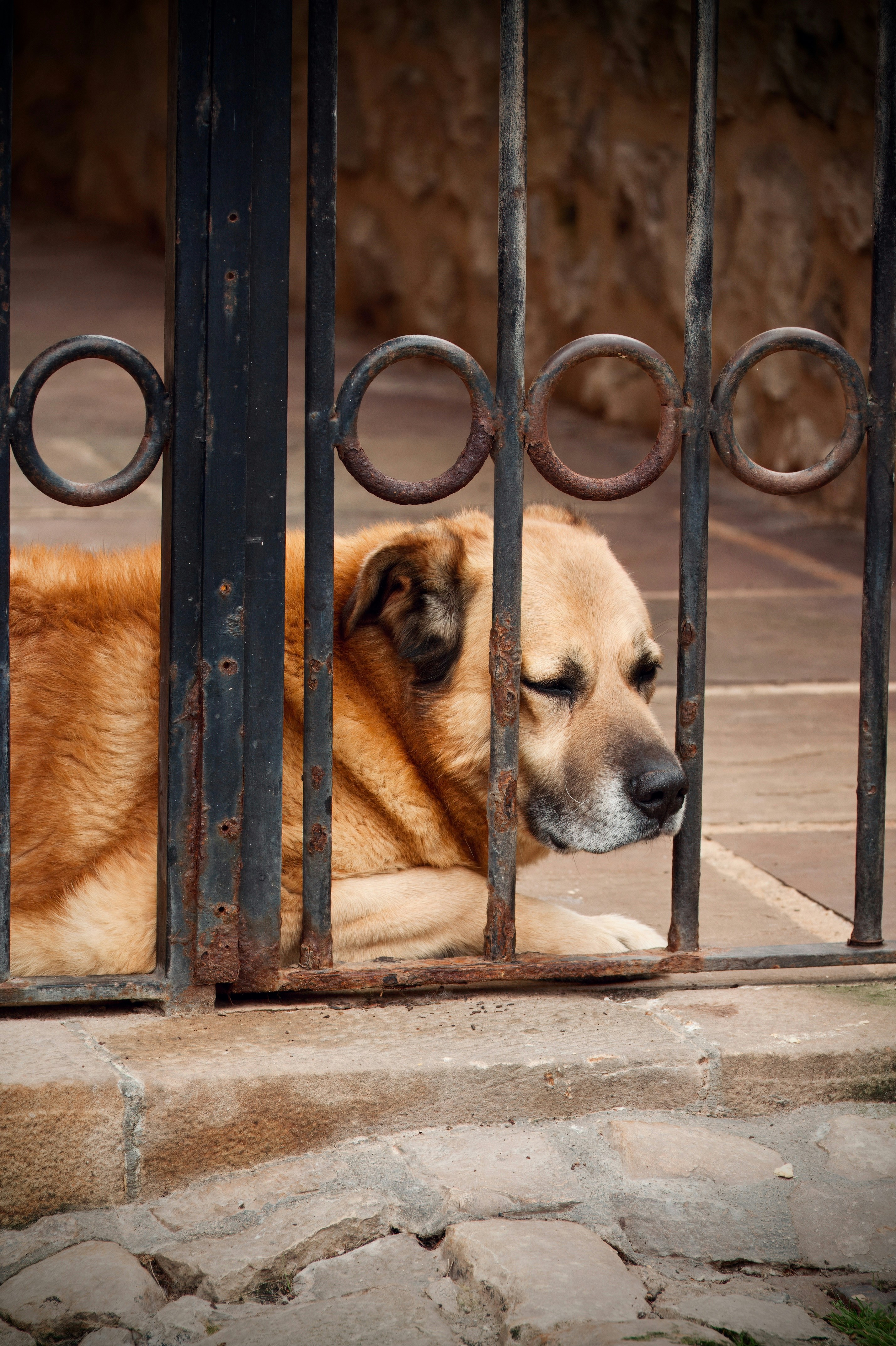 Photo by pablo_saancheezz