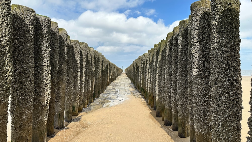 eine lange Reihe von Steinsäulen auf einem Sandstrand