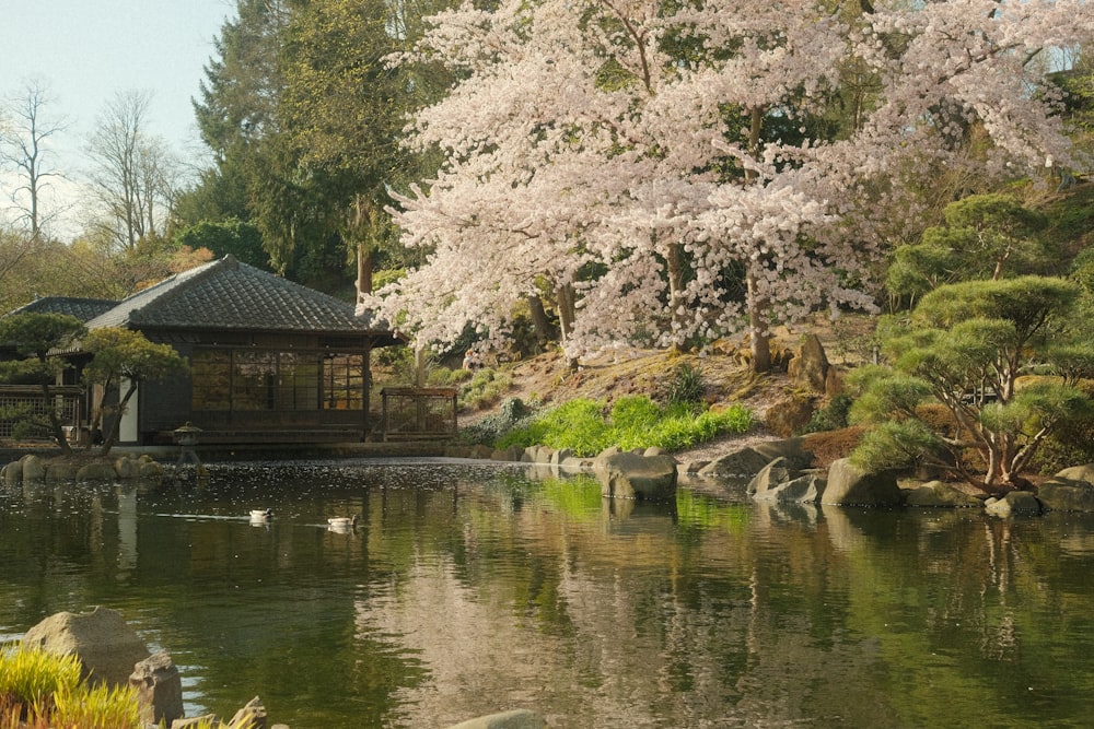 a pond in a park with a gazebo in the middle of it