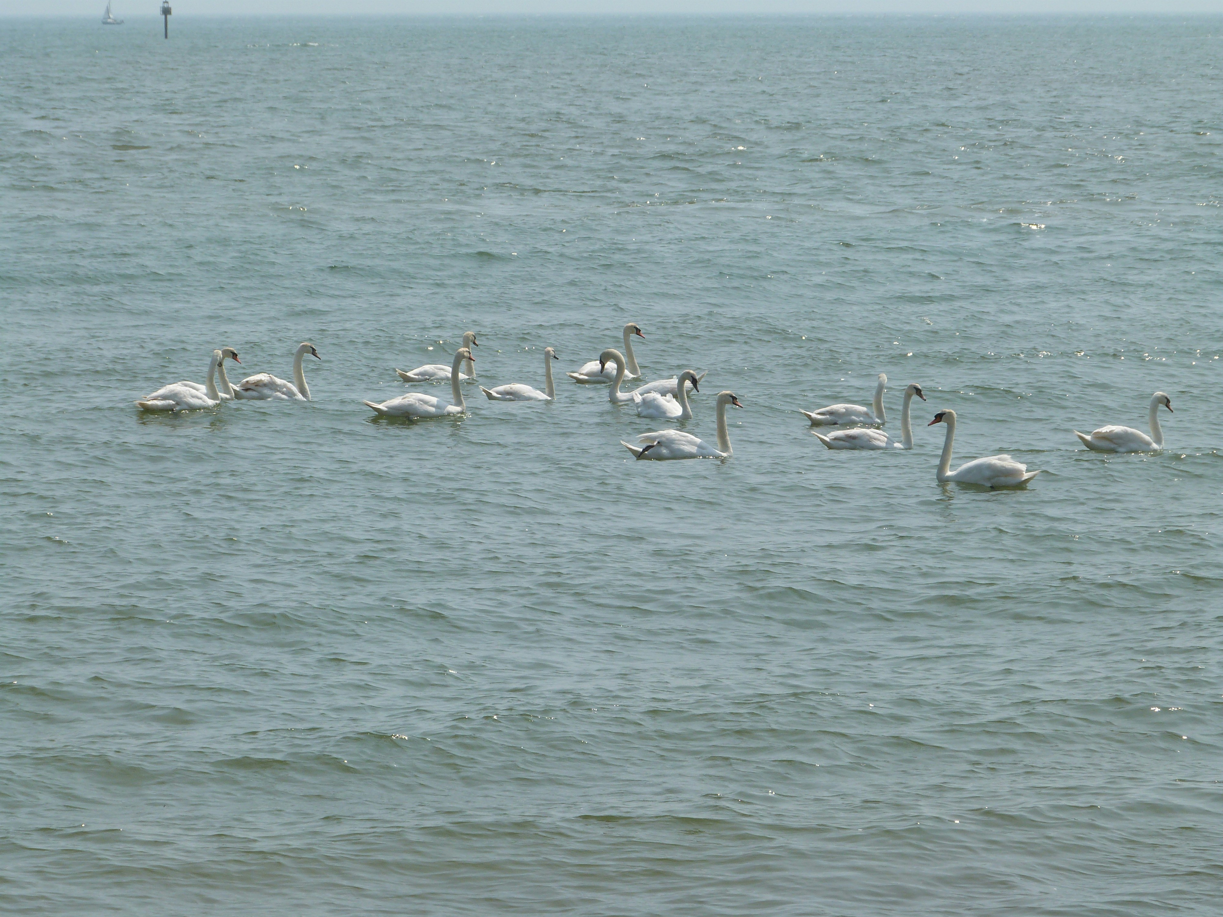 Photo by bluenovember