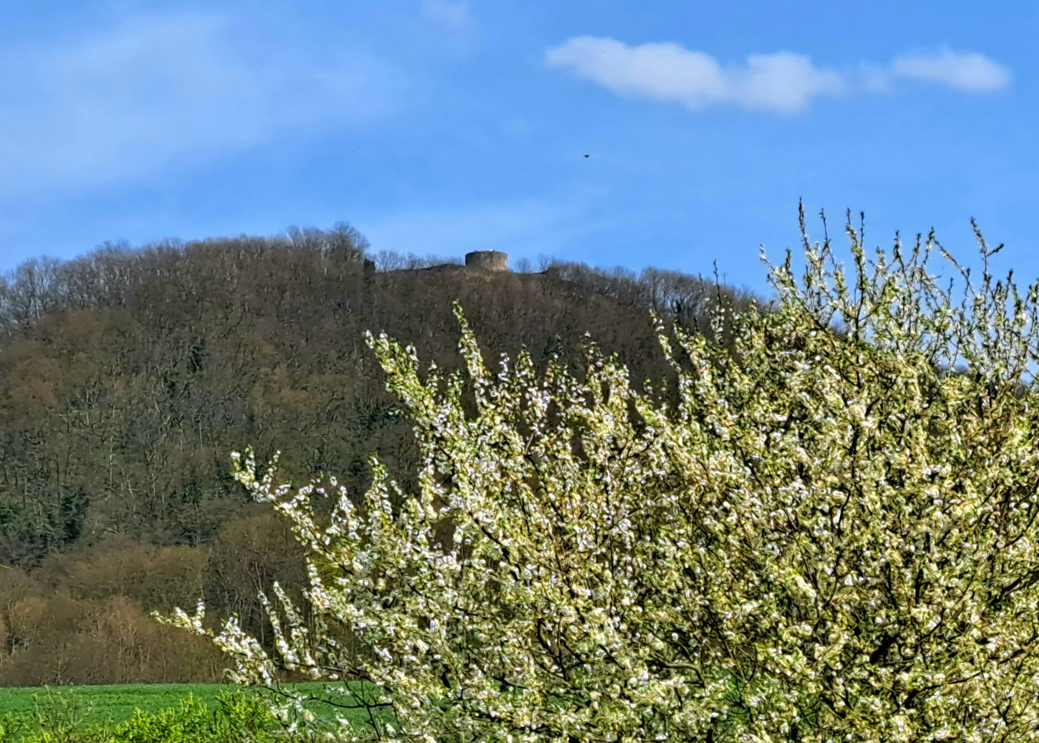 Image by Michael Schreiber via Unsplash