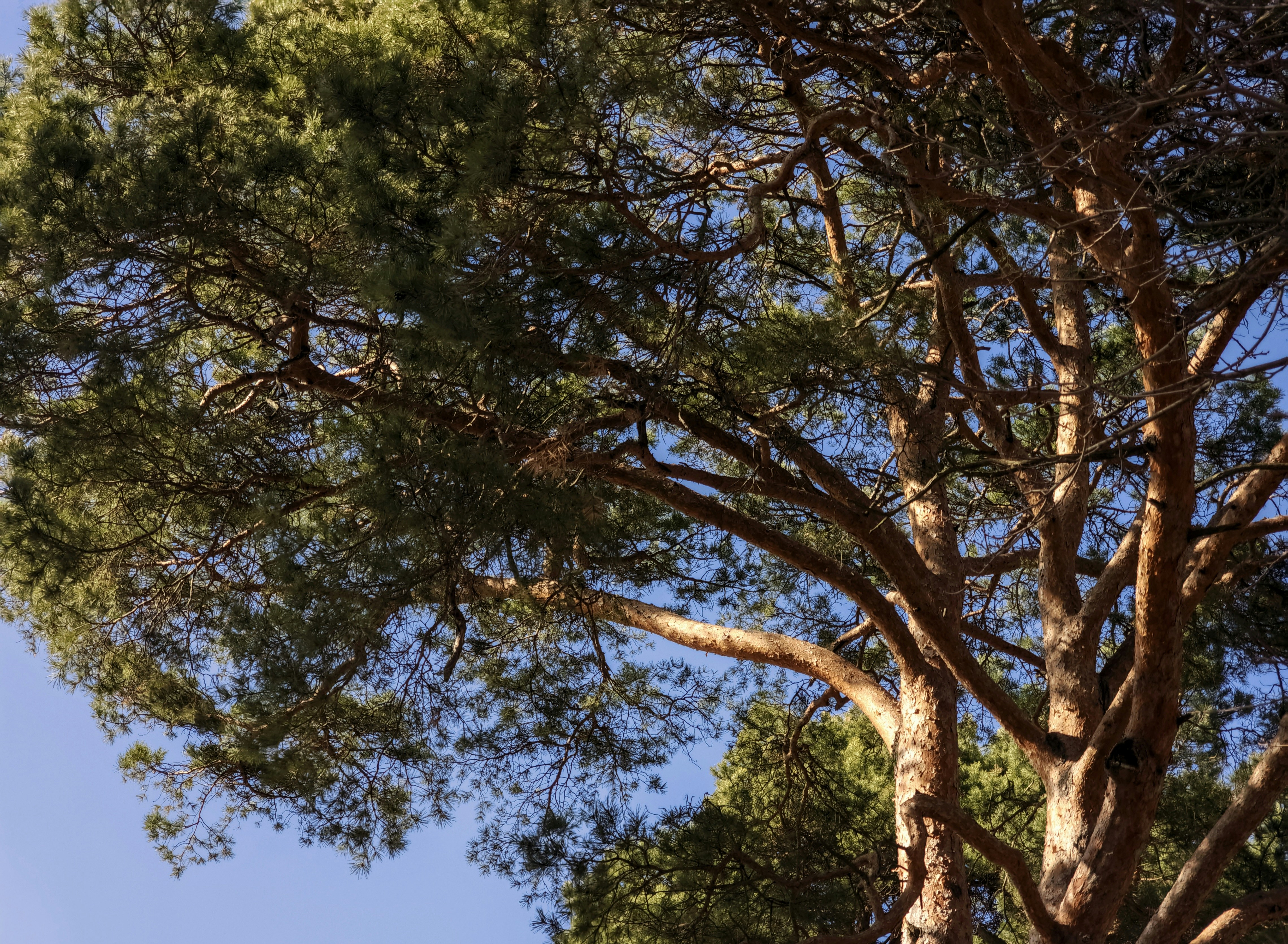 Photo by katerina111598