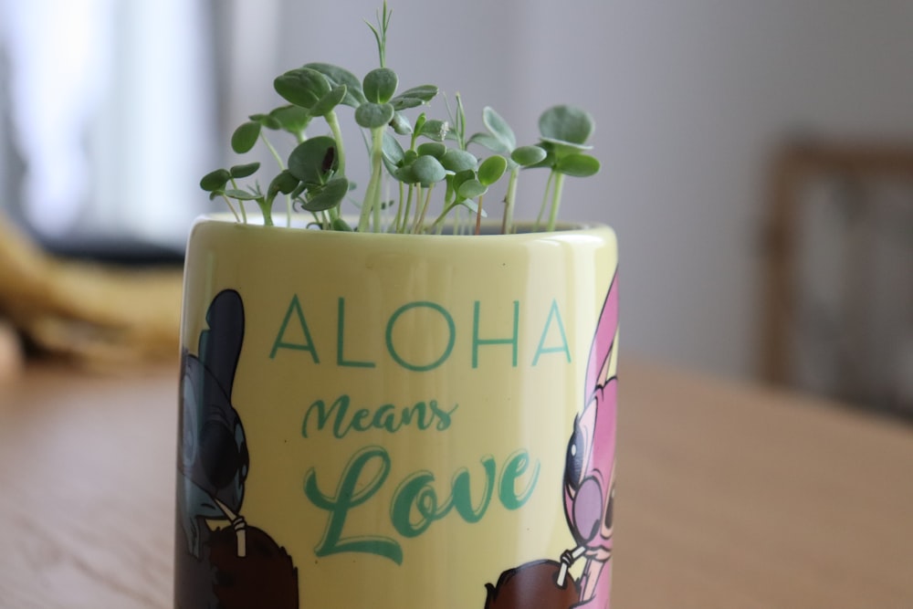 a plant in a cup that says aloha means love