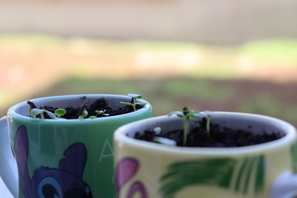 a couple of cups that have plants in them