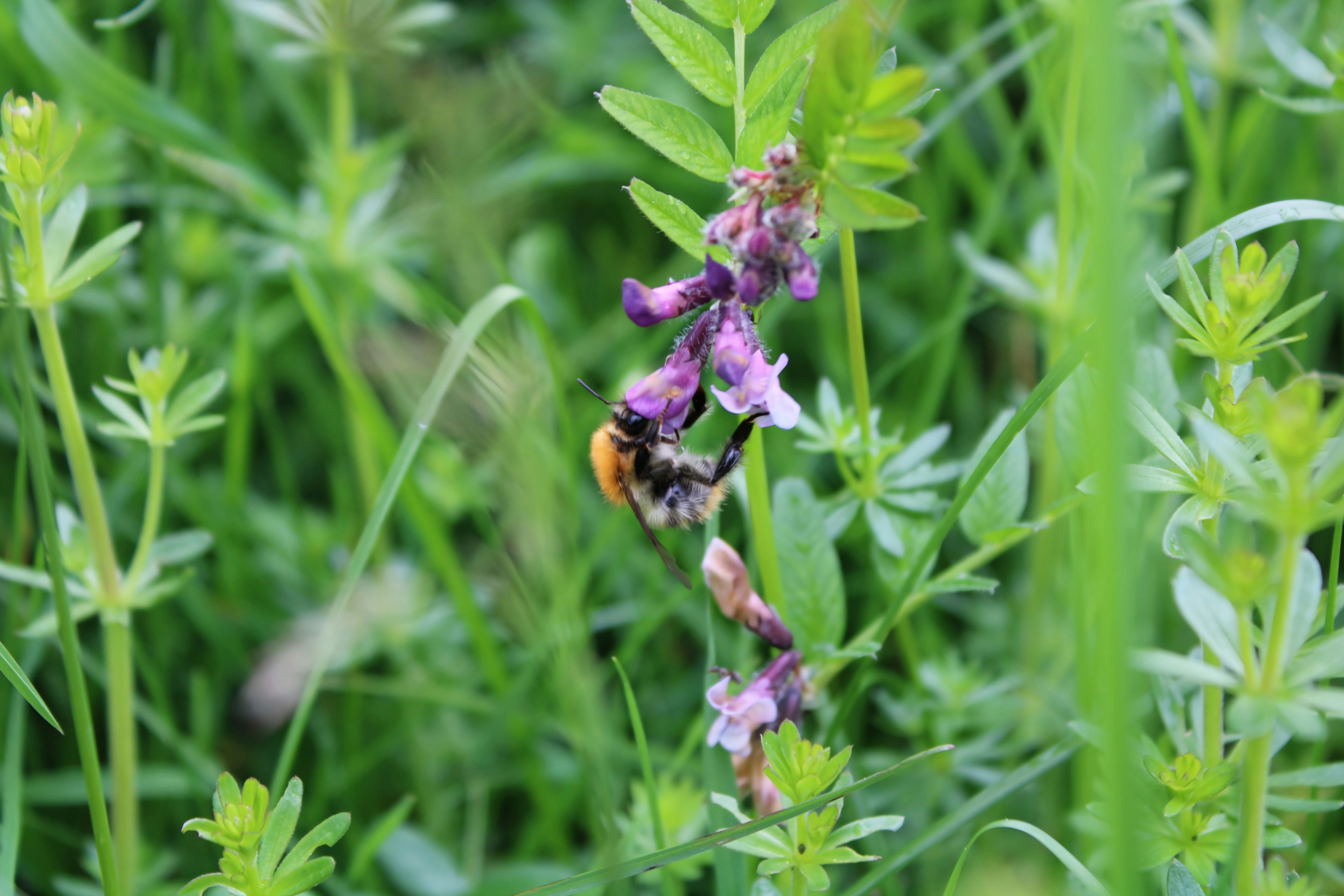 Photo by aurore_grbr