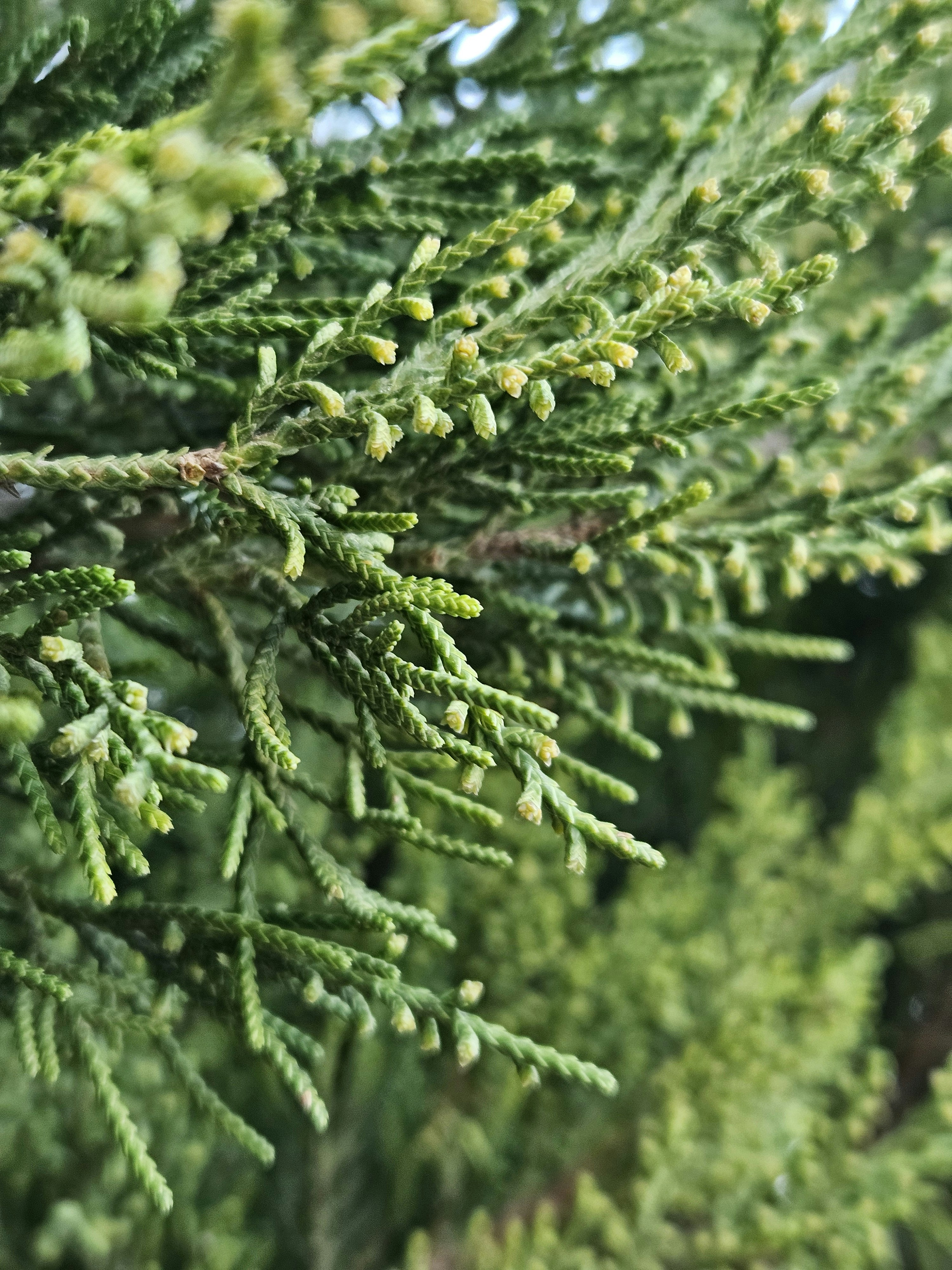 Photo by marypolonsk