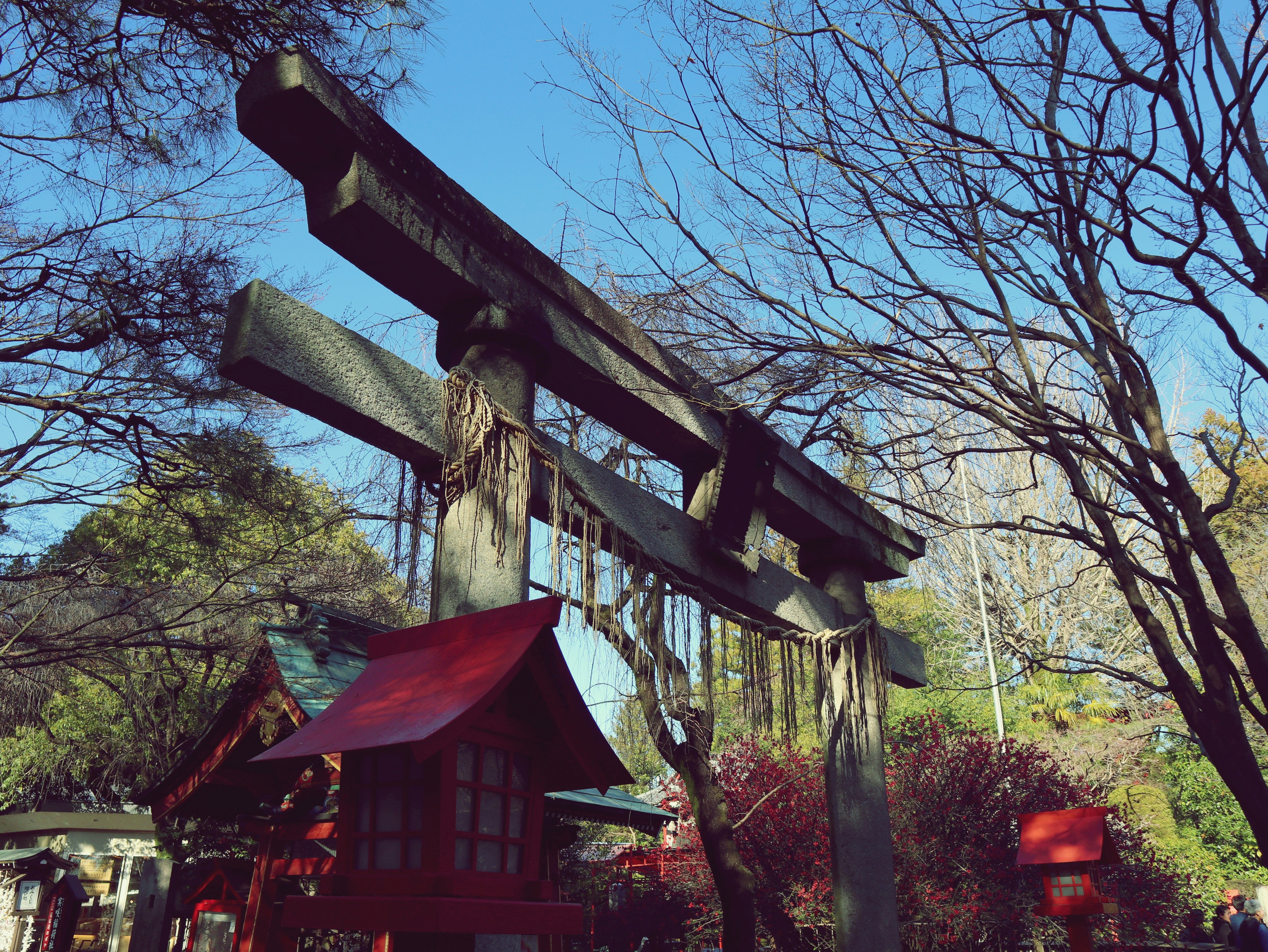 a wooden sign hanging from the side of a tree
