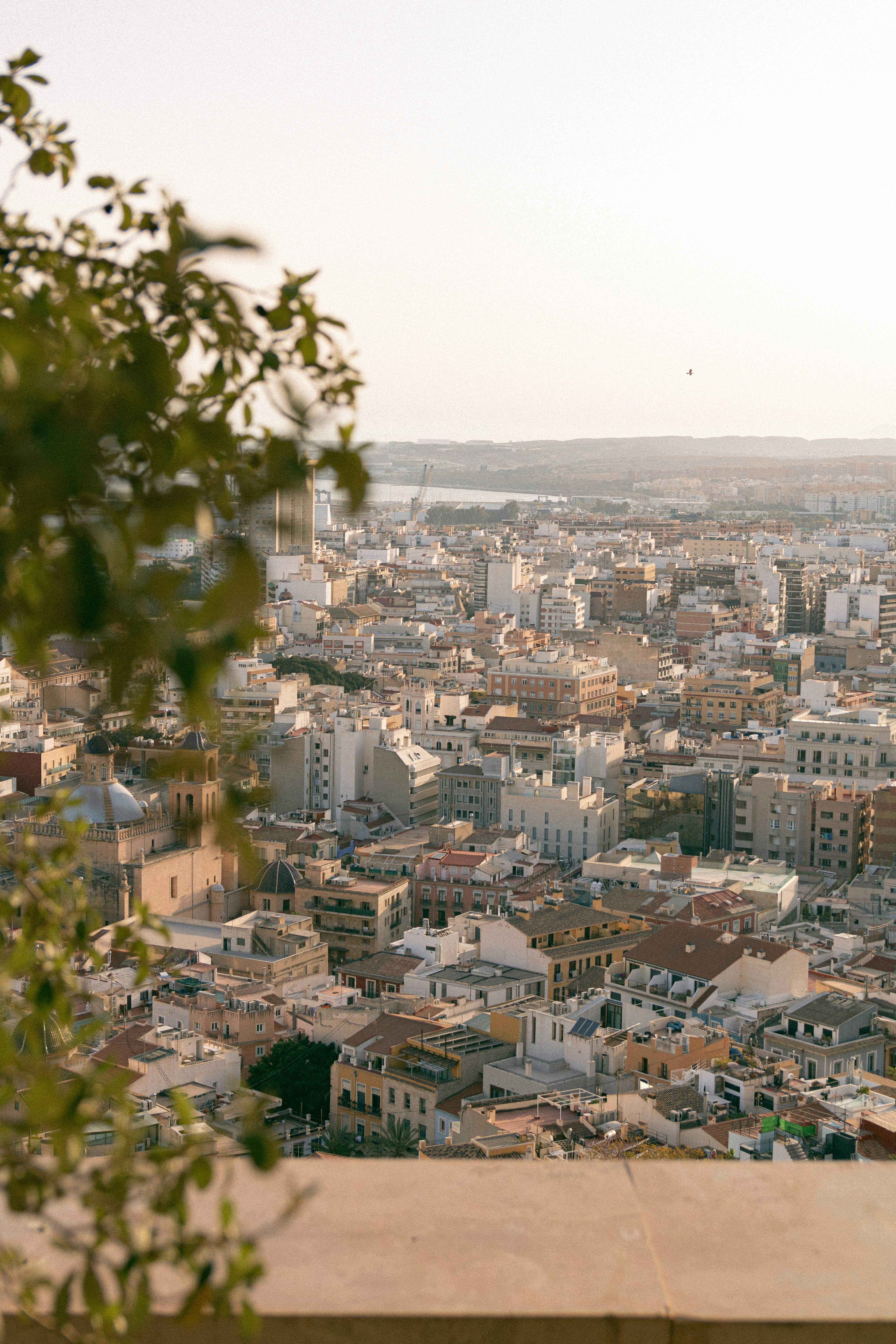 Photo by michau_kubiak