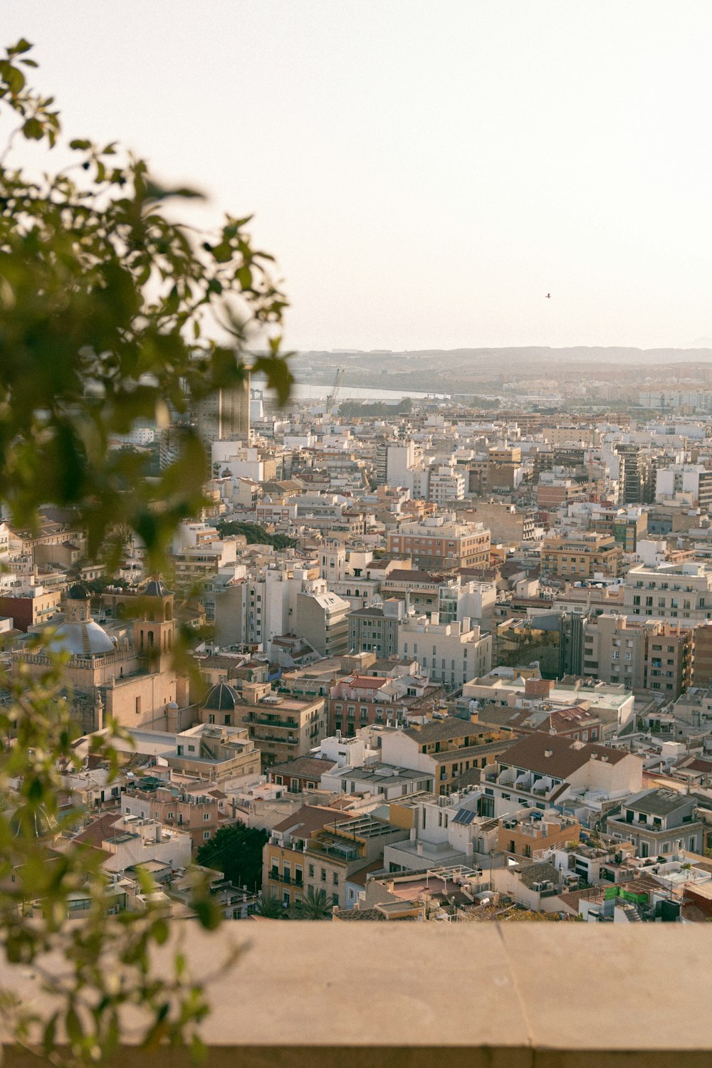 a view of a city from the top of a building