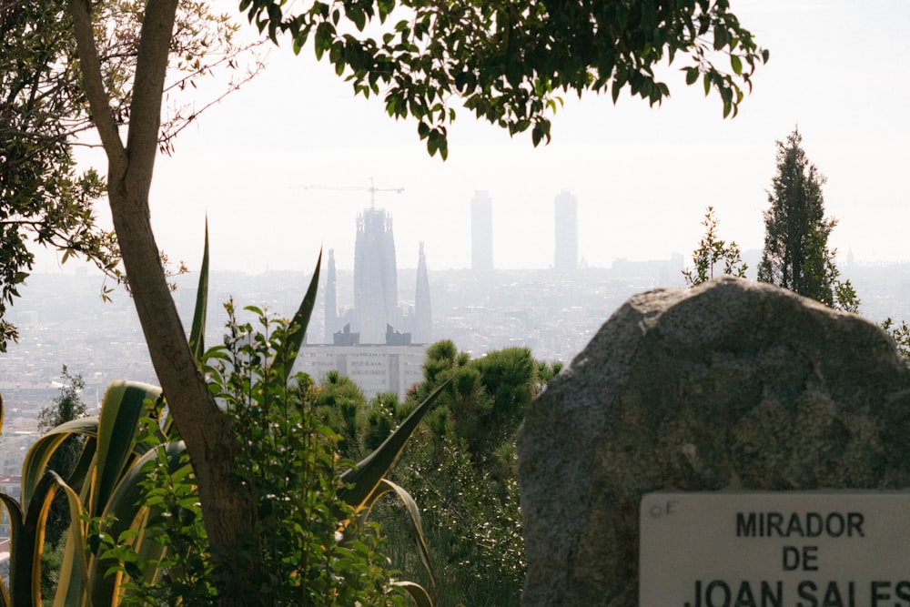 a view of a city from the top of a hill