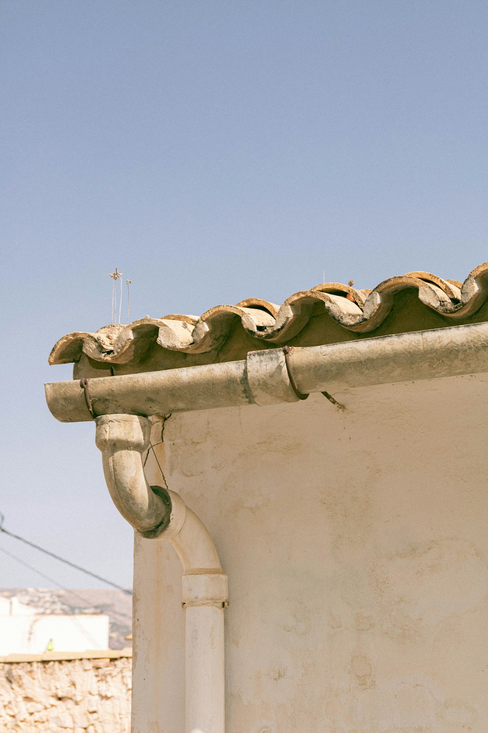 a cat sitting on a roof with a building in the background