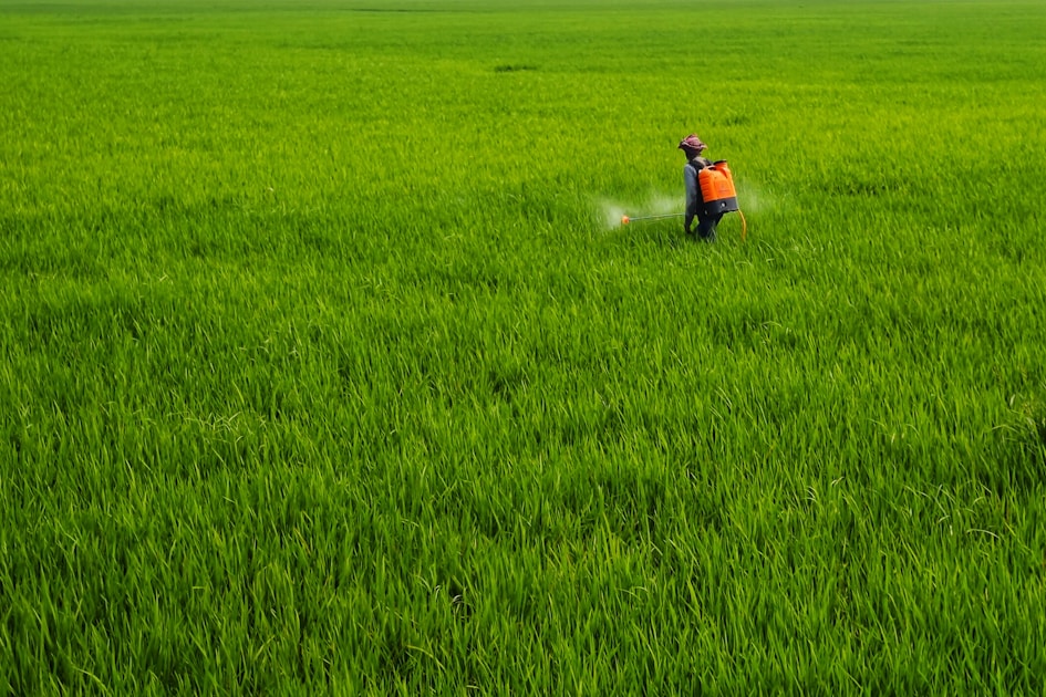 Pesticide Exposure Raises Cancer Risk 150%: What a Major New Study Means for You