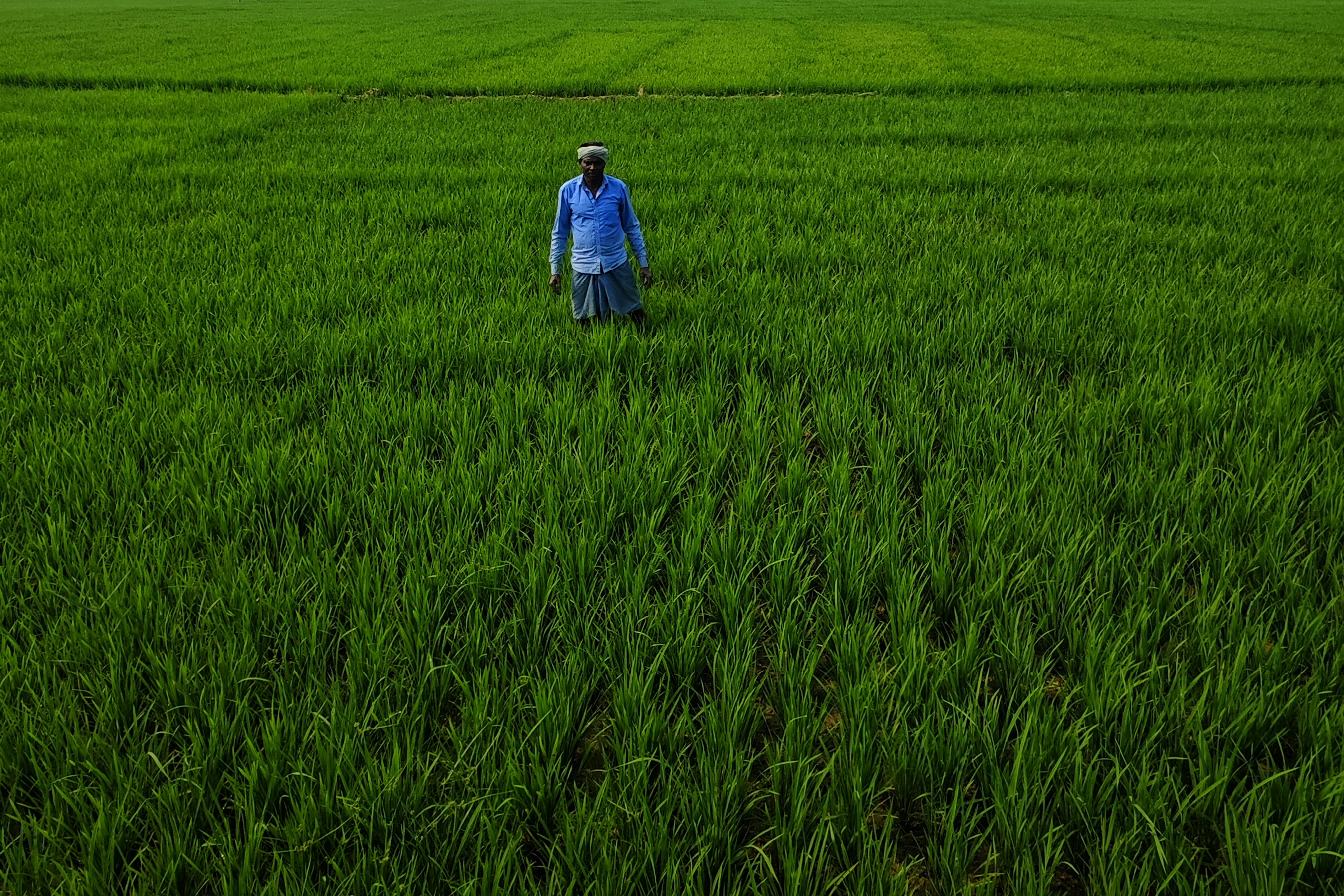 Photo by dibakar16roy