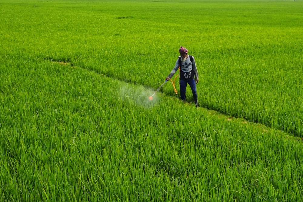 a person spraying pesticide on a green field