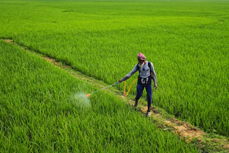 a woman spraying pesticide on a green field