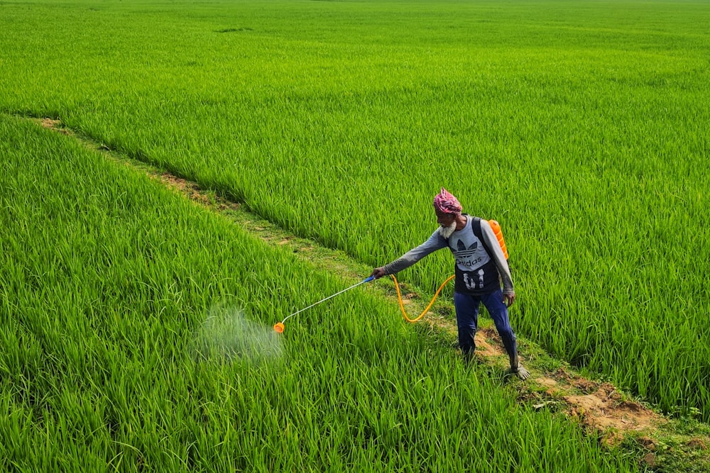 a person spraying pesticide on a green field