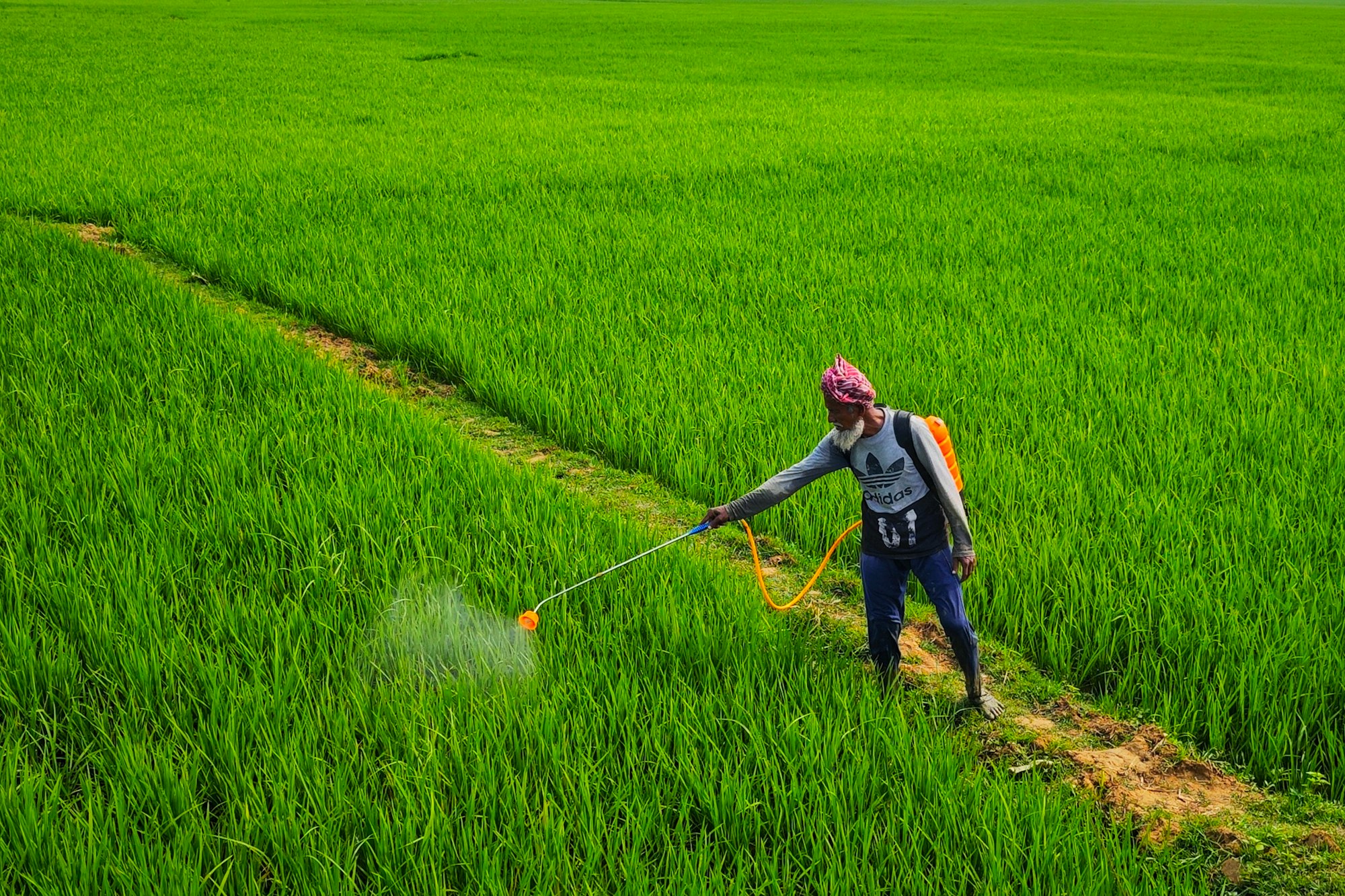 a person spraying pesticide on a green field