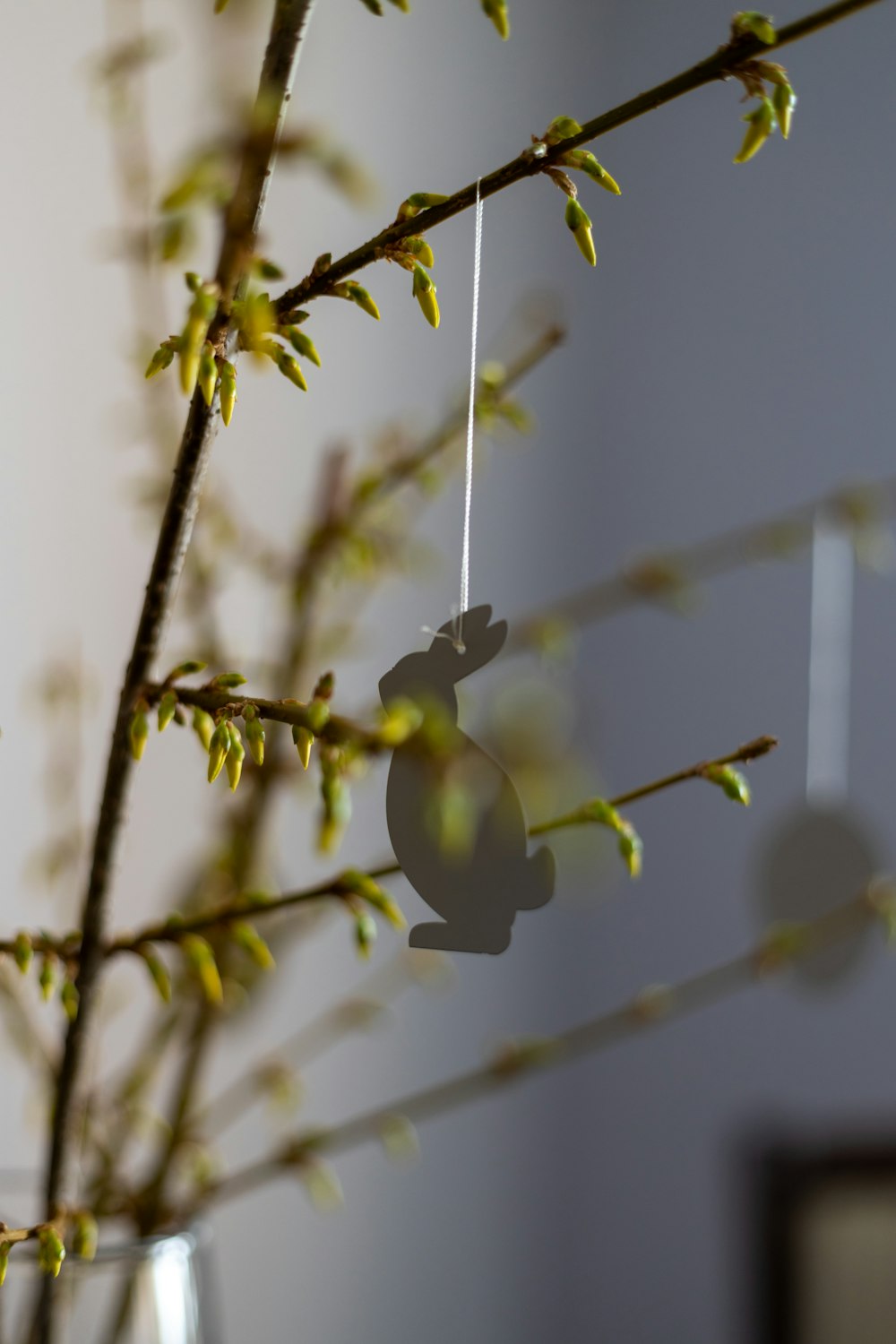 a glass vase with a plant hanging from it's side