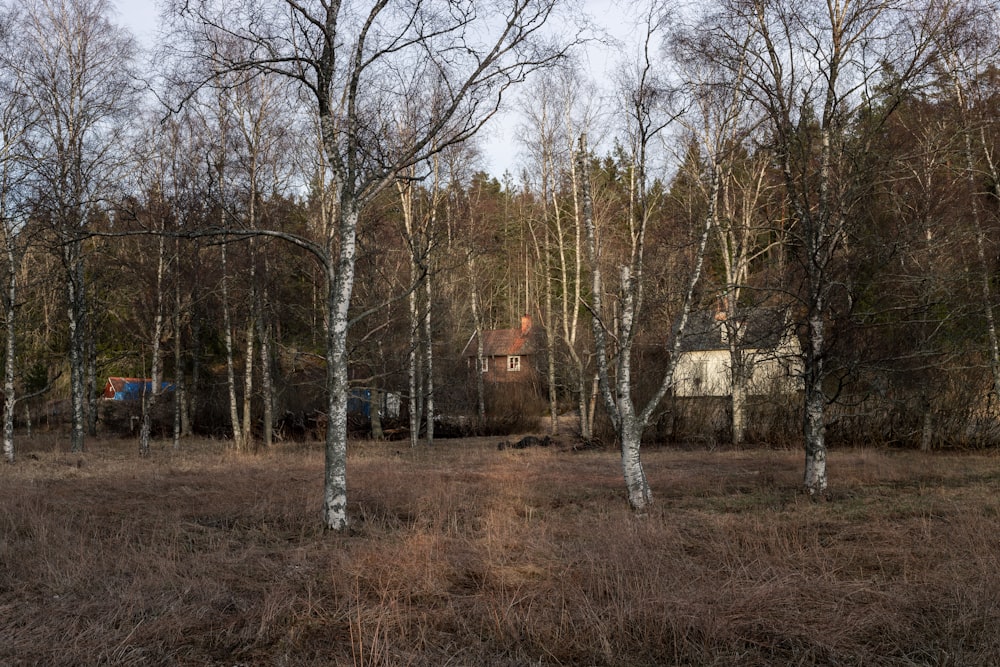 a house in the middle of a wooded area