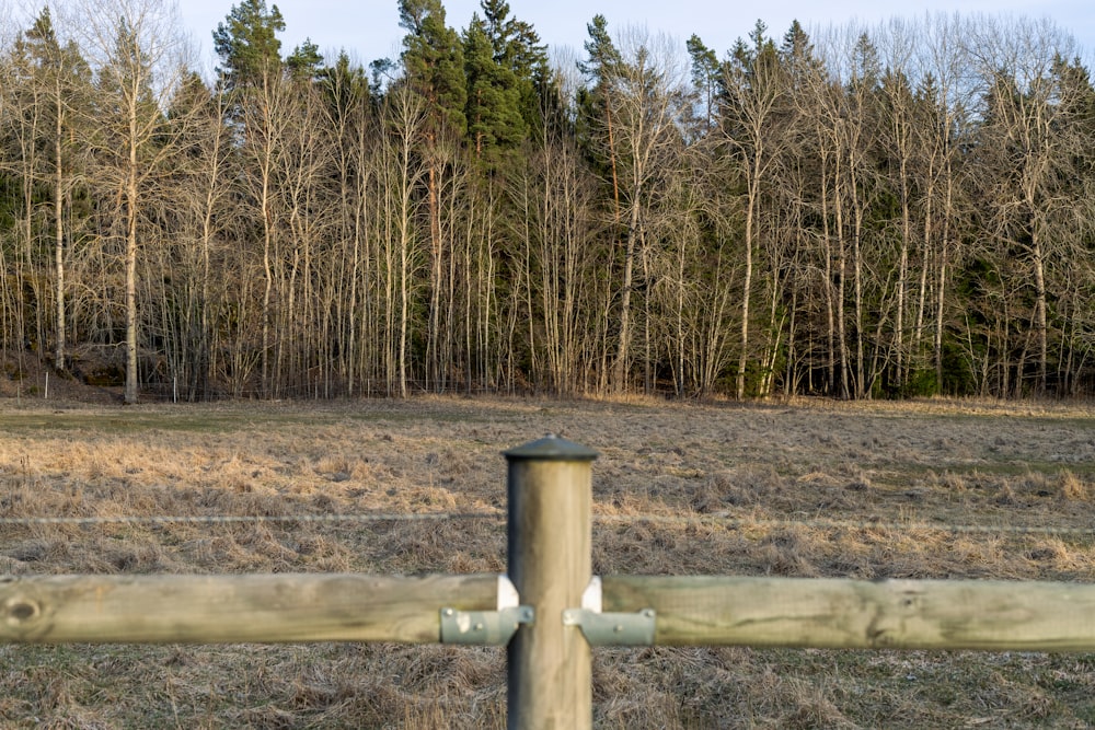 a wooden fence in front of a wooded area