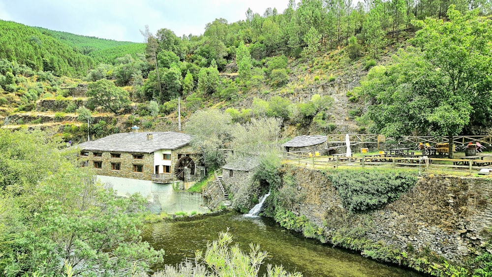 a river running through a lush green forest