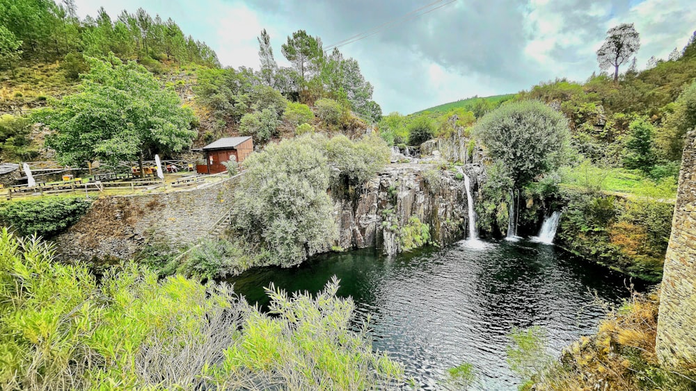 a river running through a lush green forest