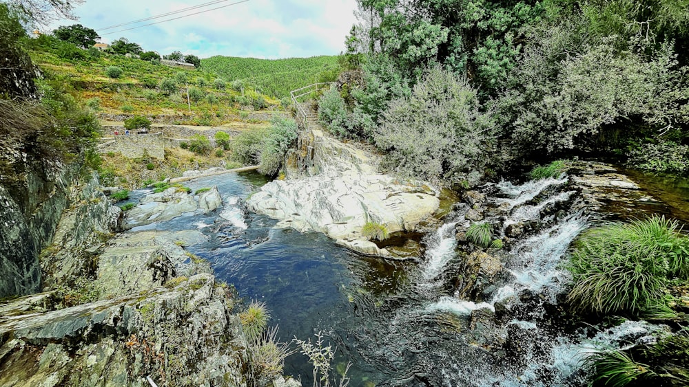 a river running through a lush green forest