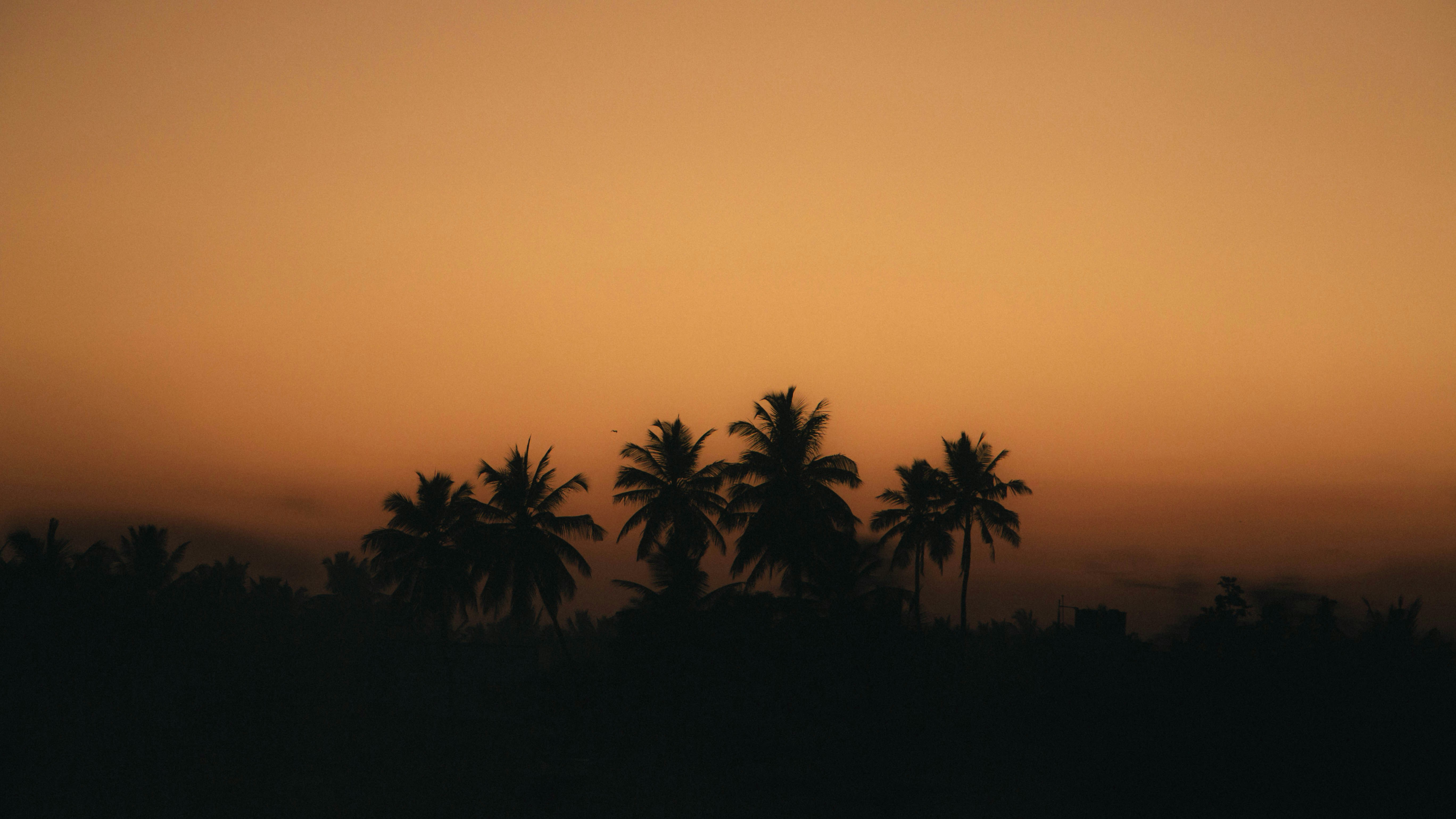 Photo by rishabh_mathew