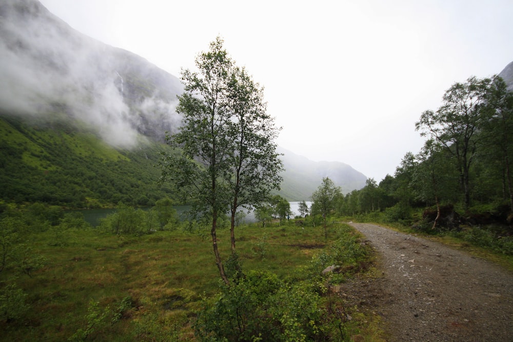 a dirt road in the middle of a lush green valley