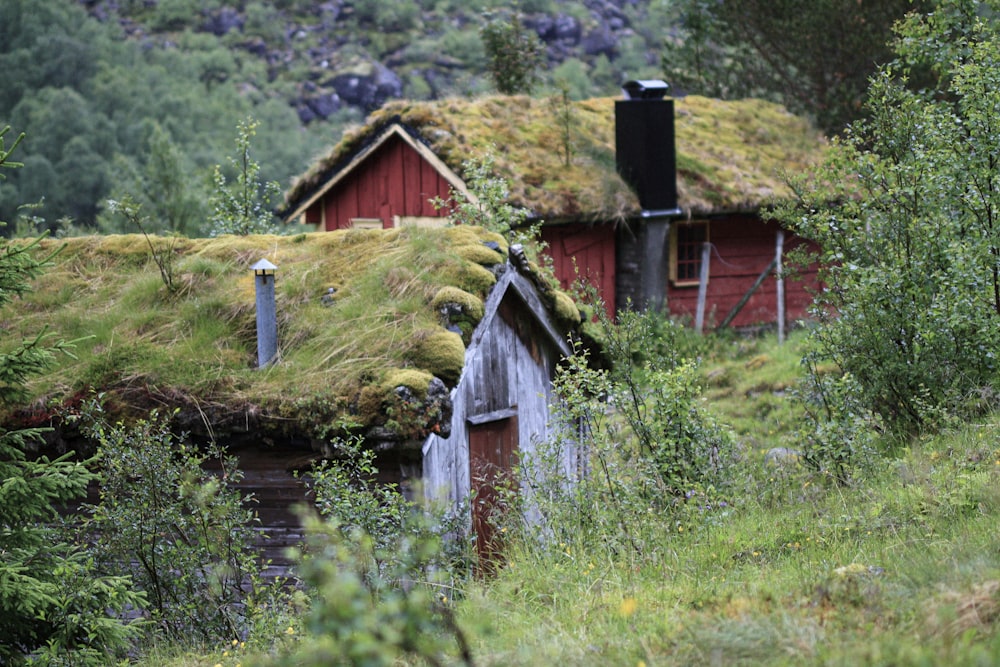 a red house with a green roof in the woods