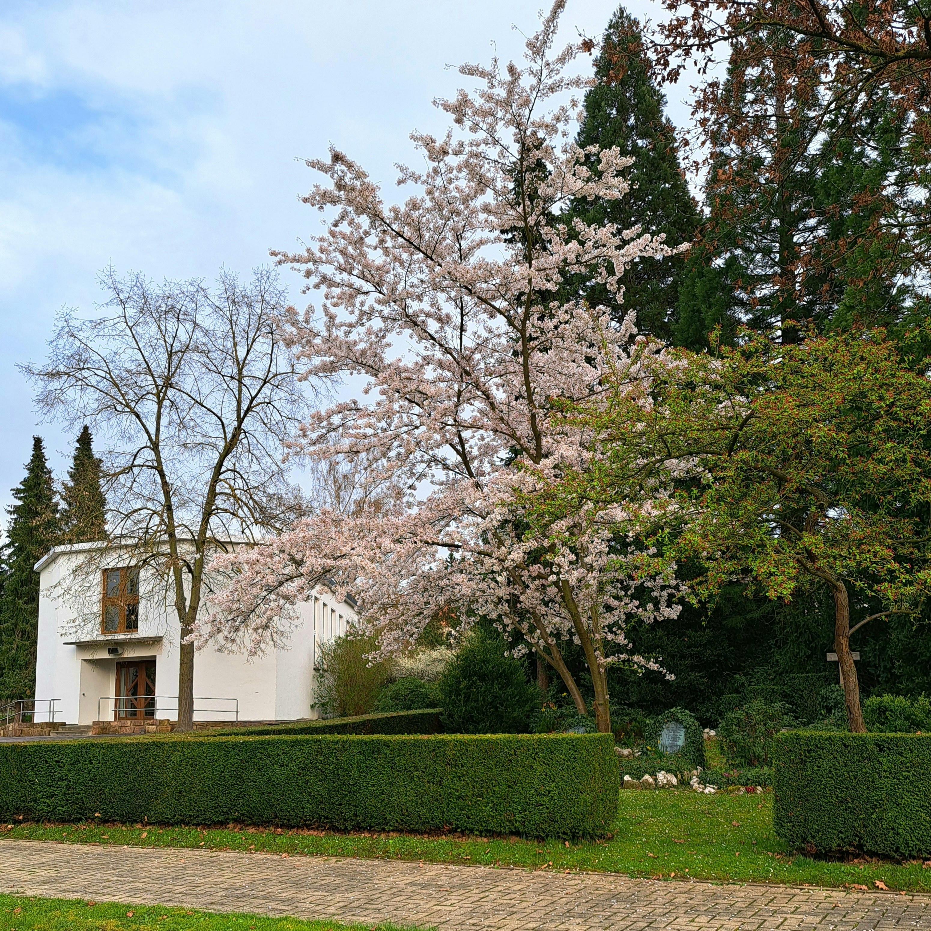 Photo by schreibmich