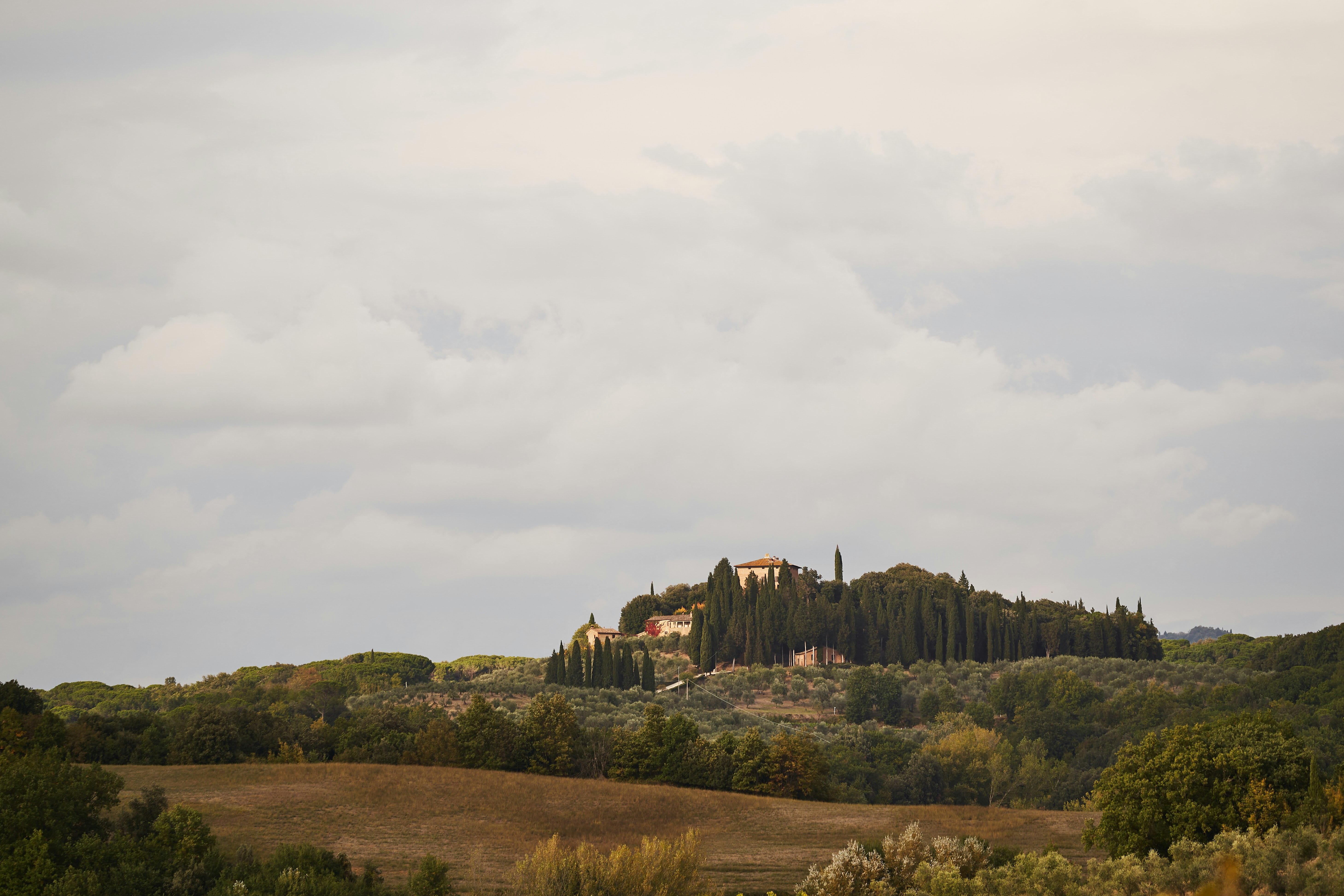 Photo by wolfgang_hasselmann