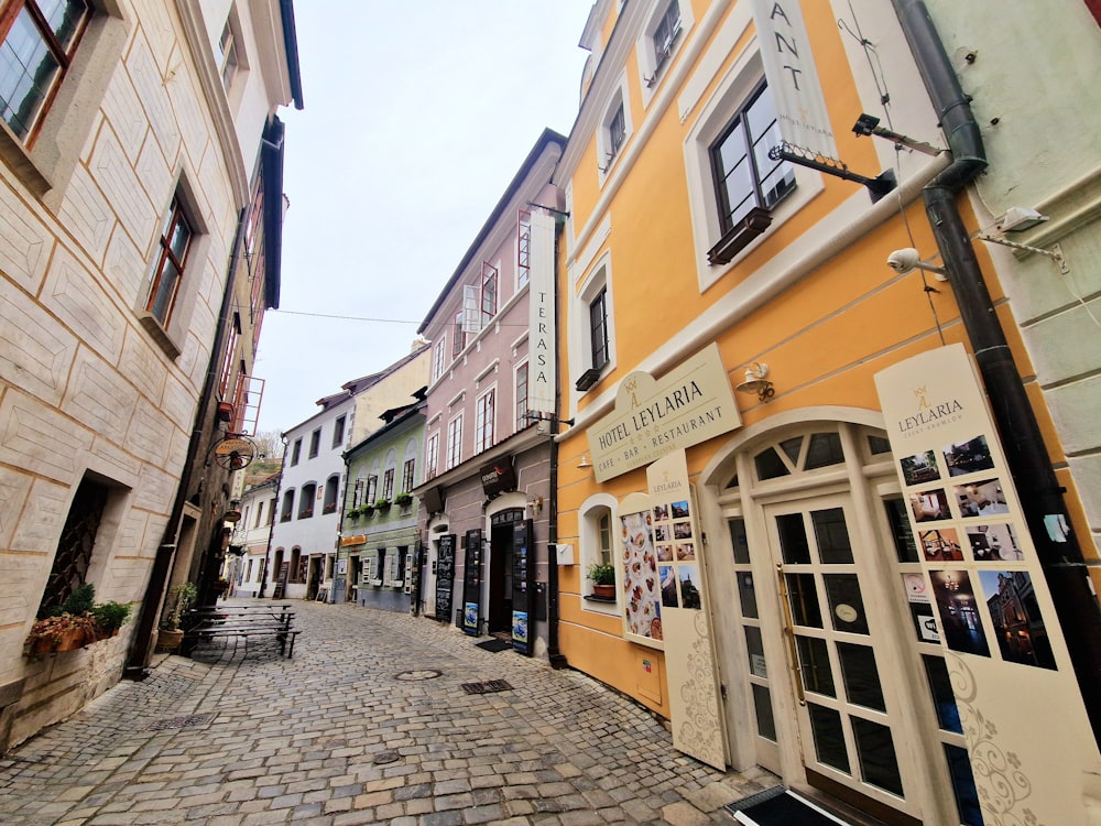 a cobblestone street lined with shops and buildings
