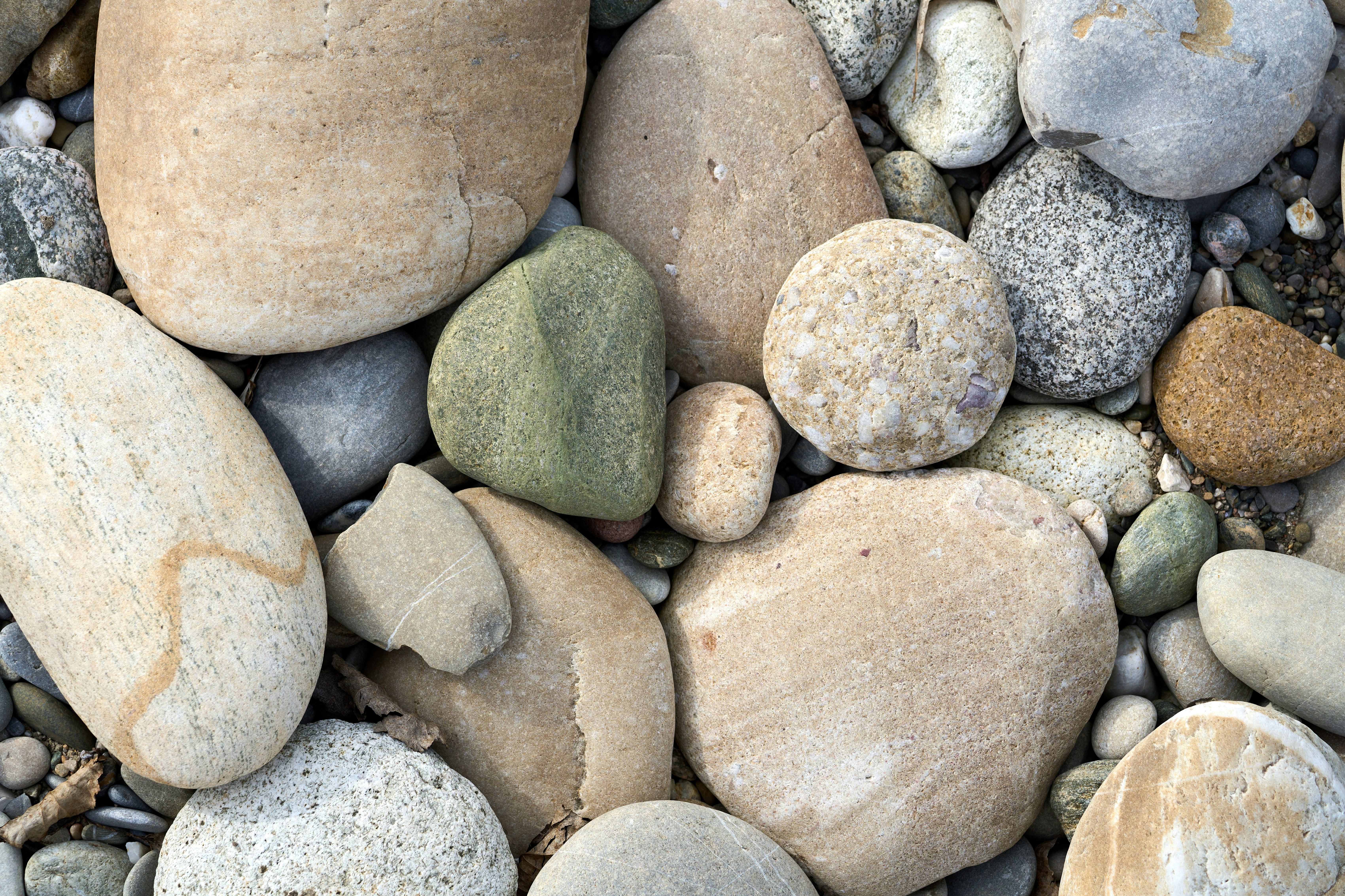 Photo by wolfgang_hasselmann