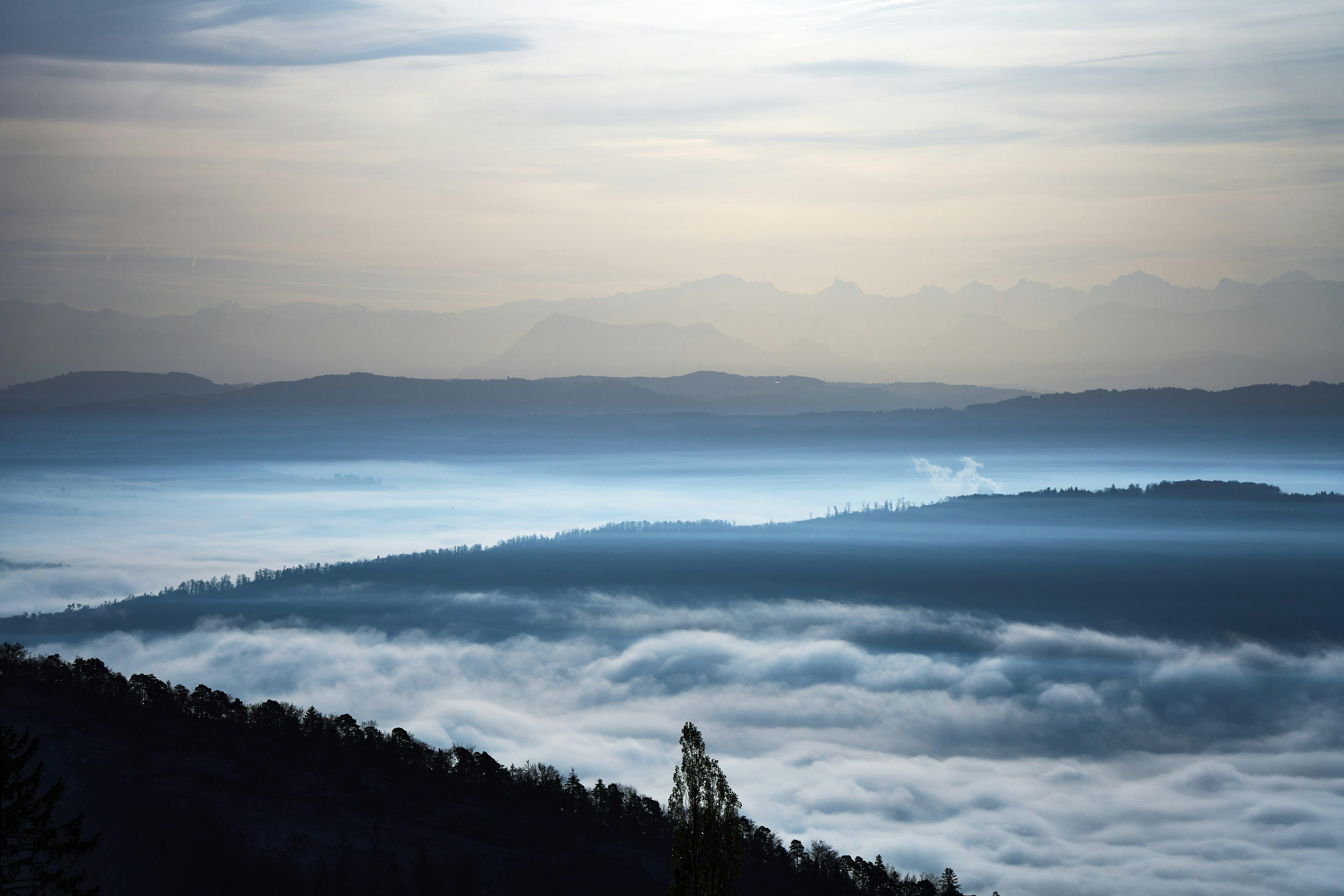 Photo by wolfgang_hasselmann