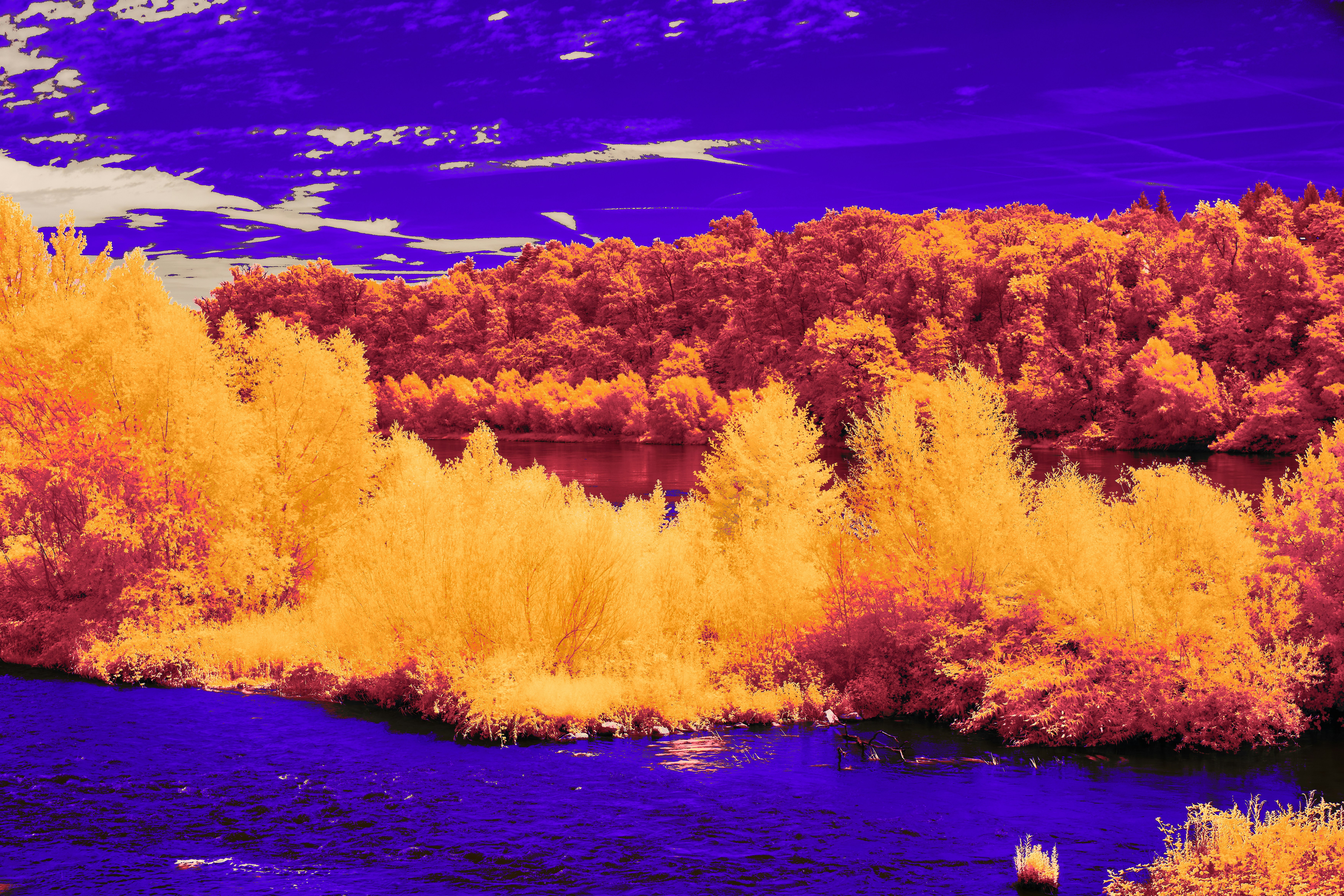 Photo by wolfgang_hasselmann