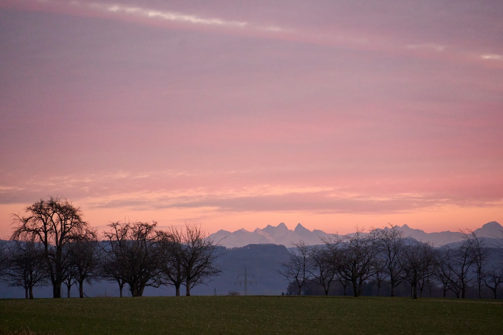 a field with trees and mountains in the background