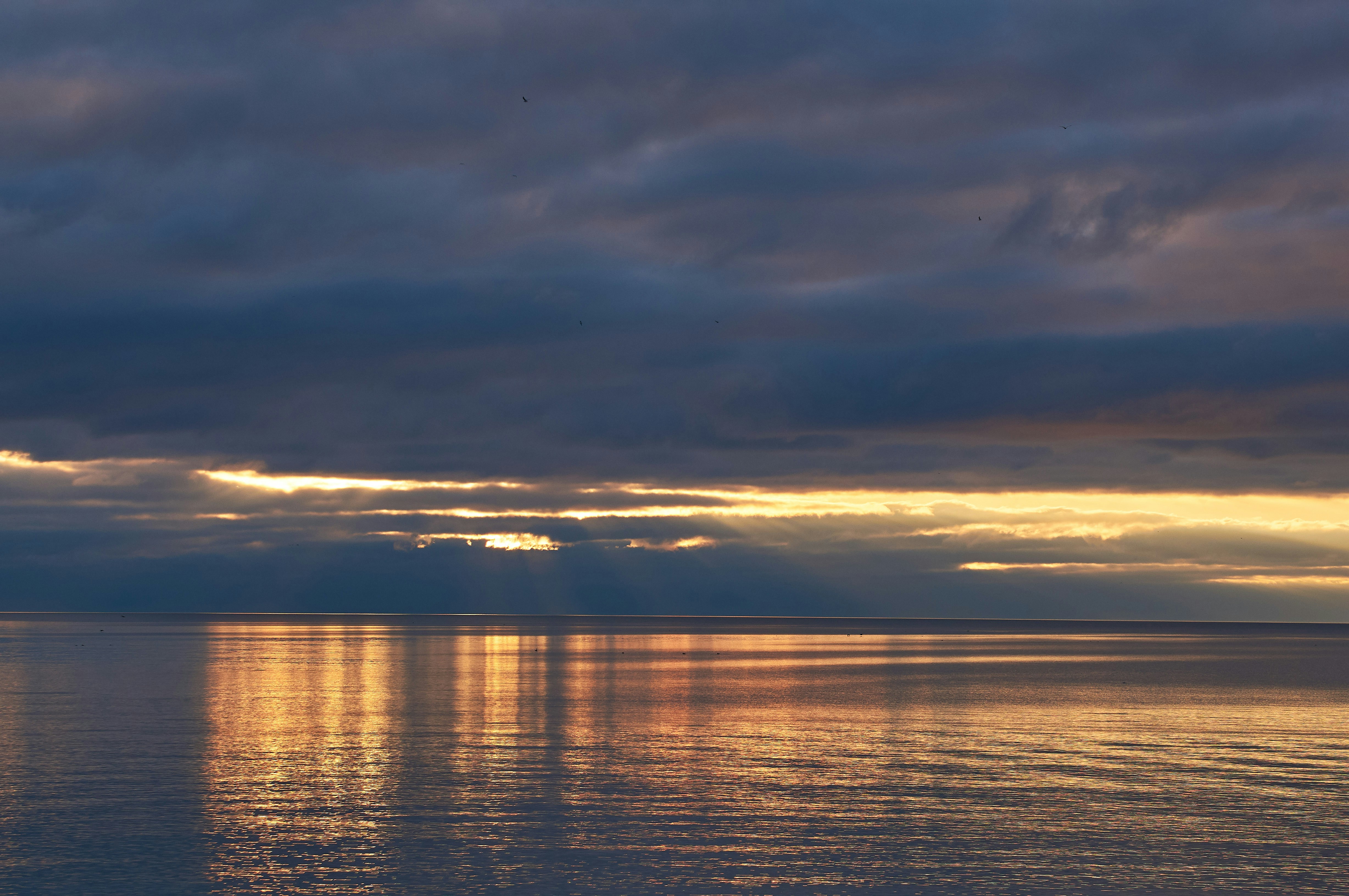 Photo by wolfgang_hasselmann