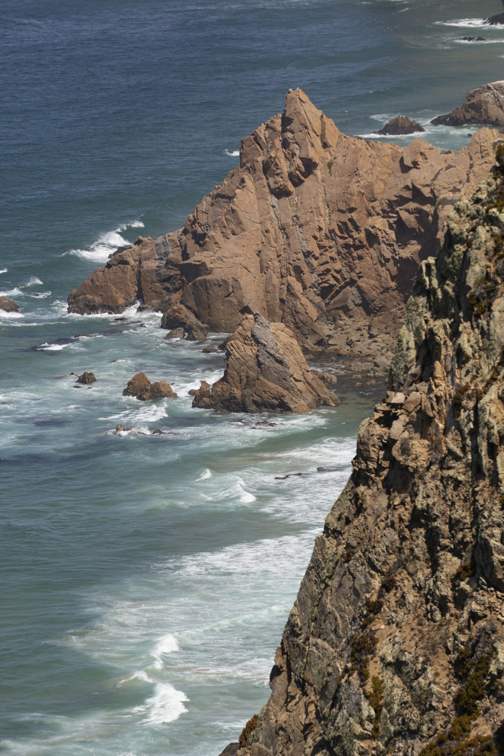 a bird is perched on a rock near the ocean