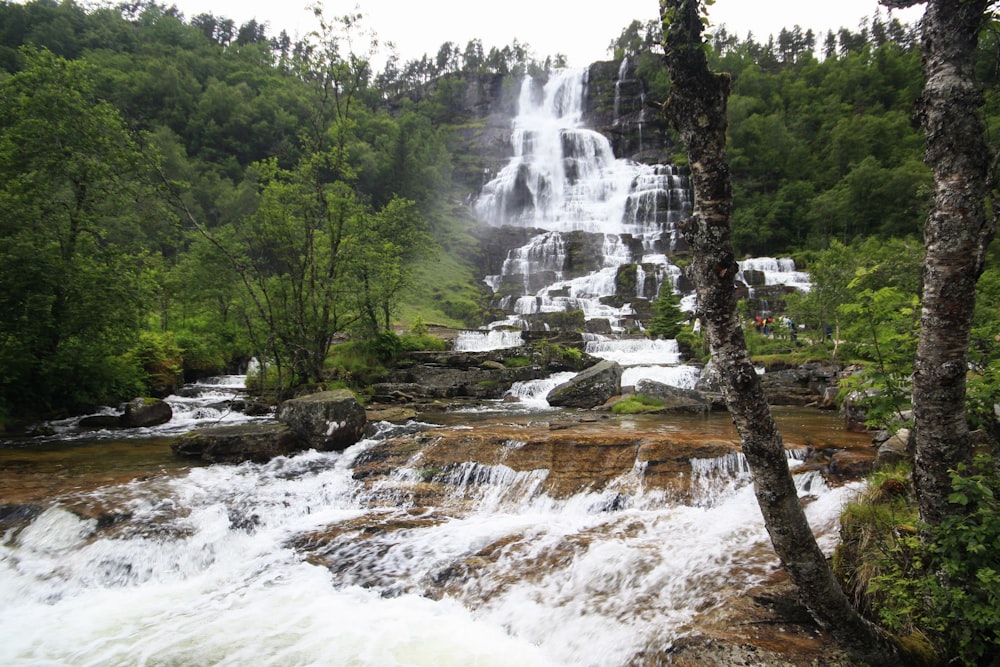 a waterfall in the middle of a forest