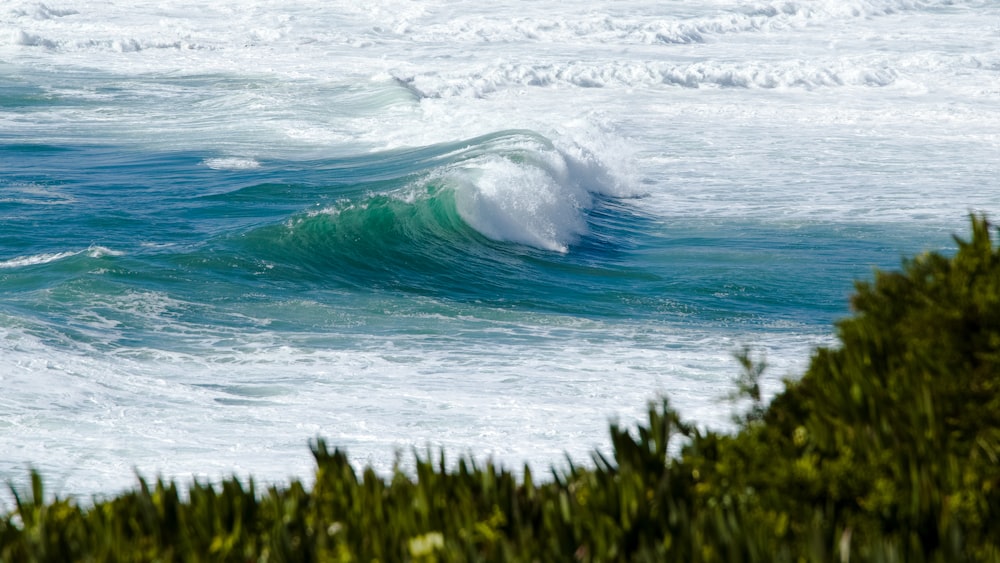 a wave is breaking on the ocean shore