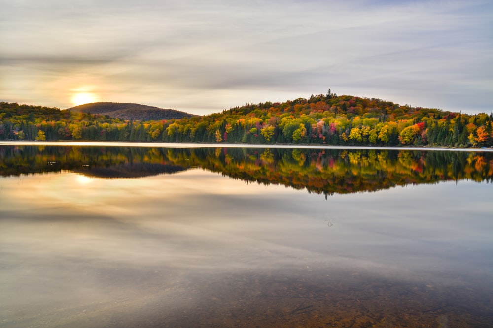 a large body of water surrounded by trees