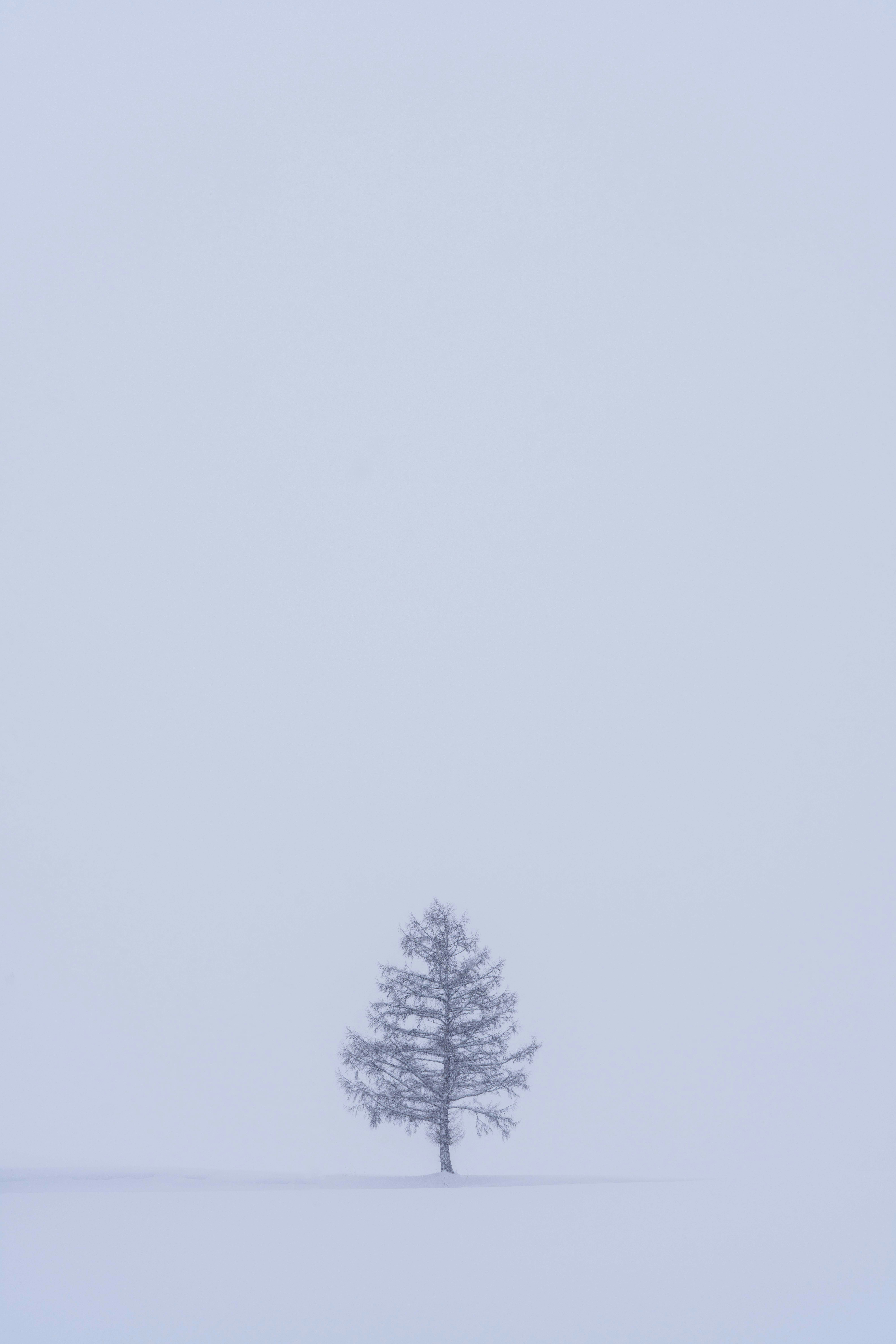 Photo by sunnyyoung