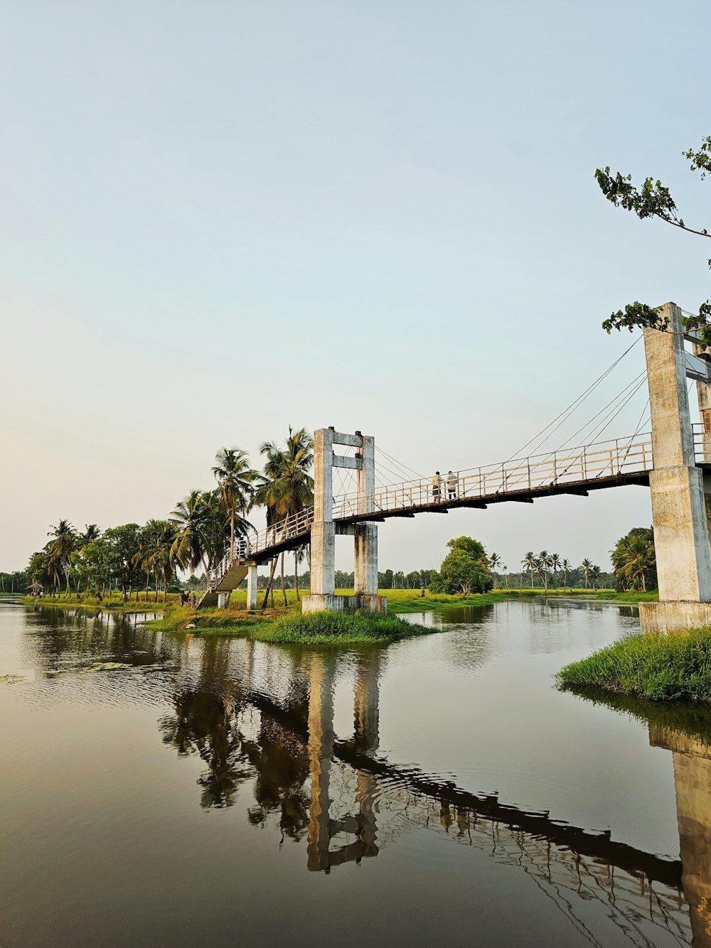 a bridge over a body of water with palm trees in the background