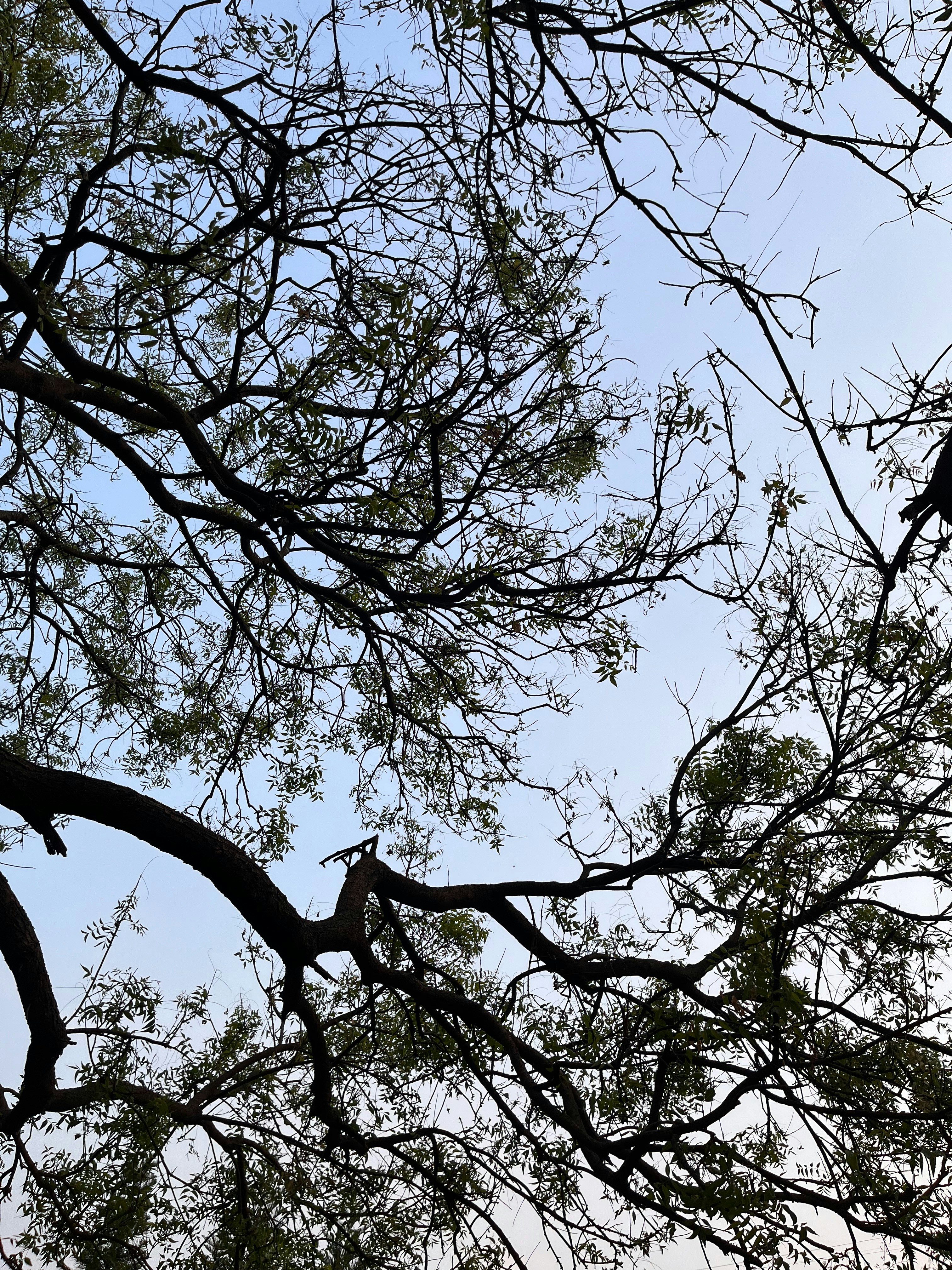 Photo by neeveshjain