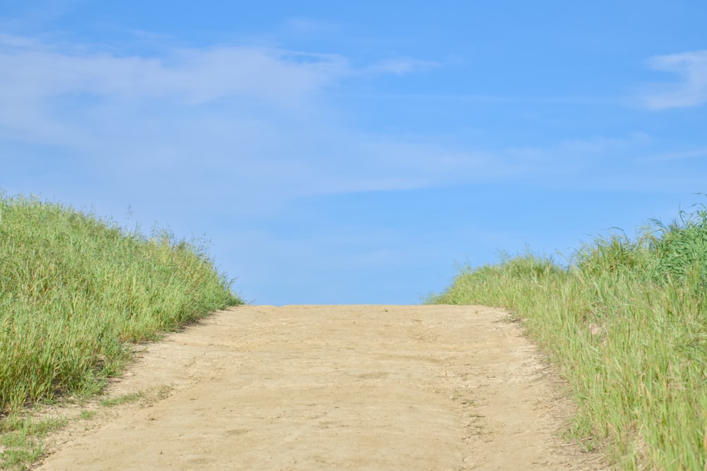 a dirt road surrounded by tall grass and a blue sky