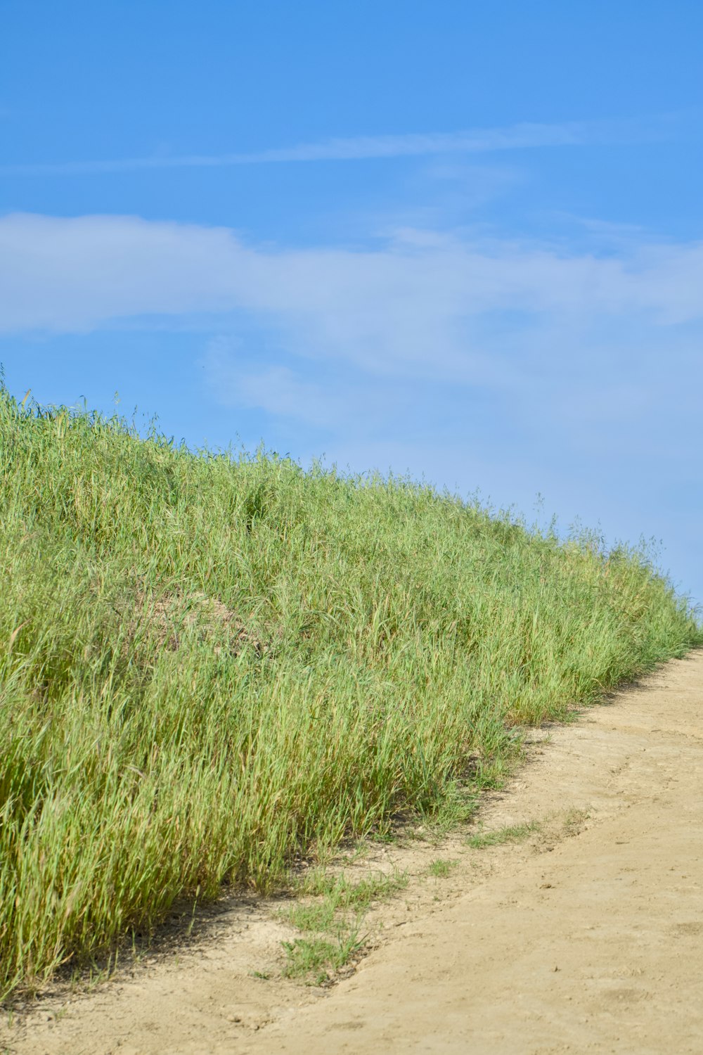 a person riding a horse down a dirt road