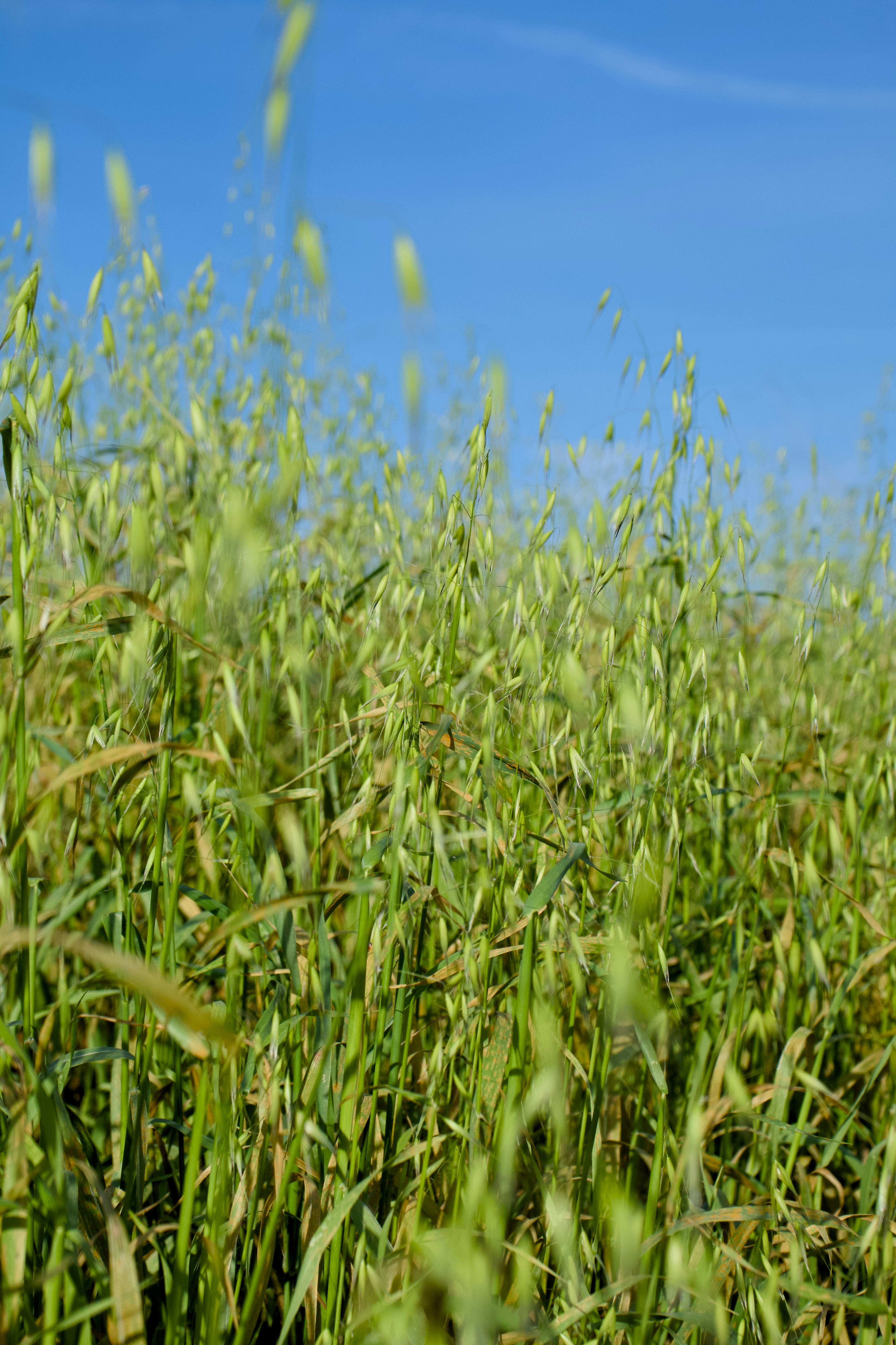 Photo by spencer_demera