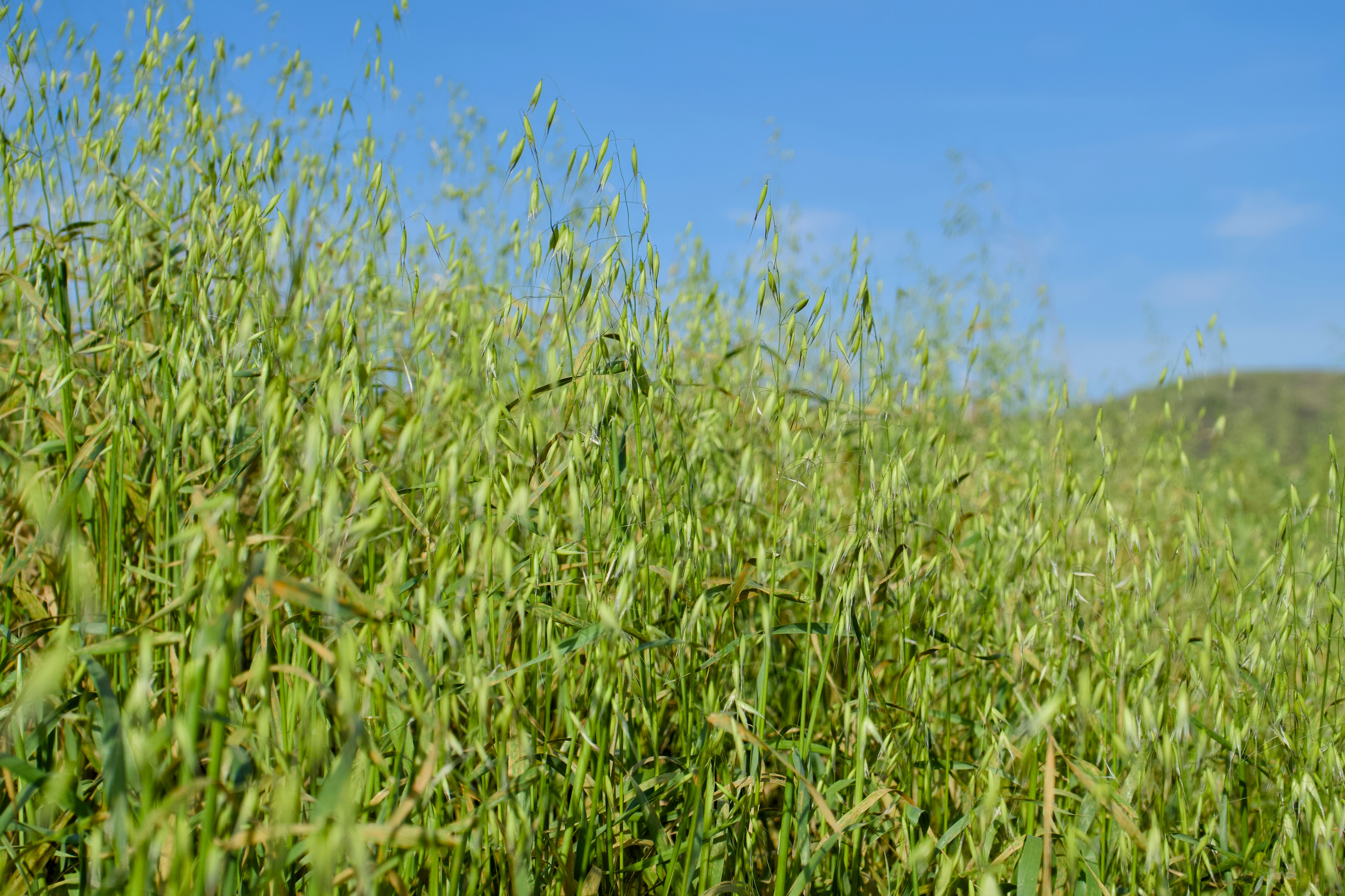 Photo by spencer_demera