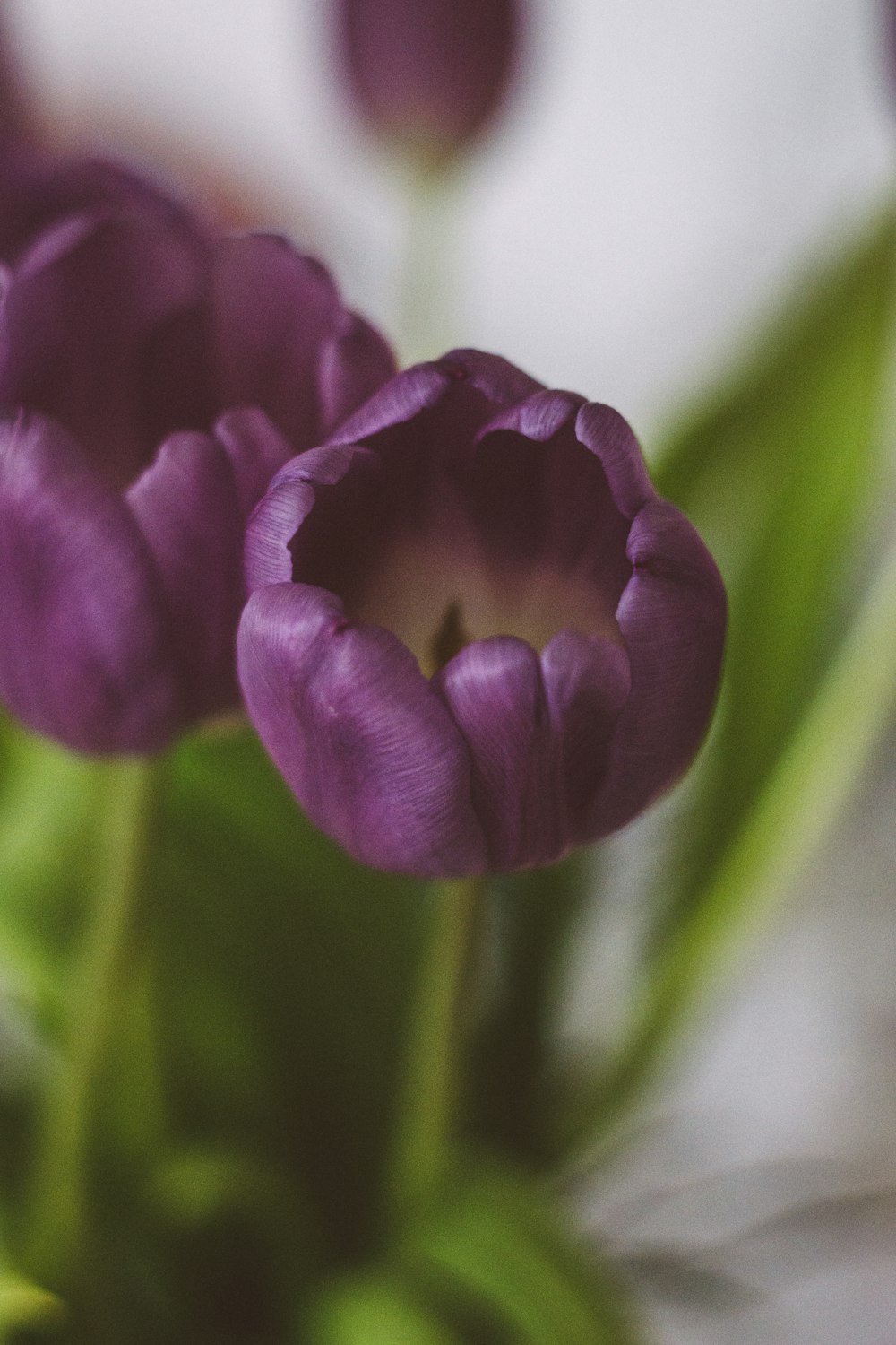 a close up of purple flowers in a vase